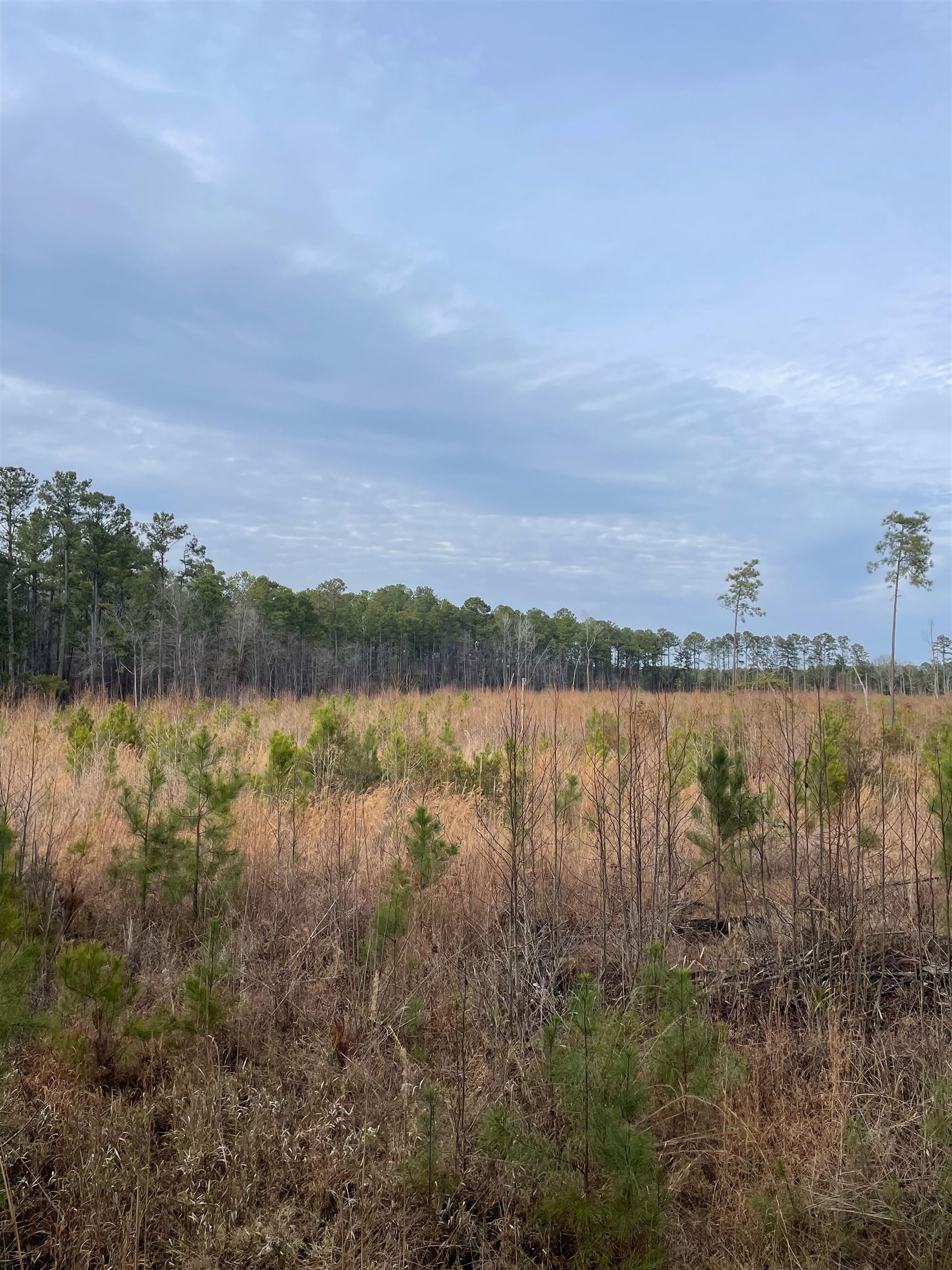 Tbd Rocky Ford Rd. Property Photo 6