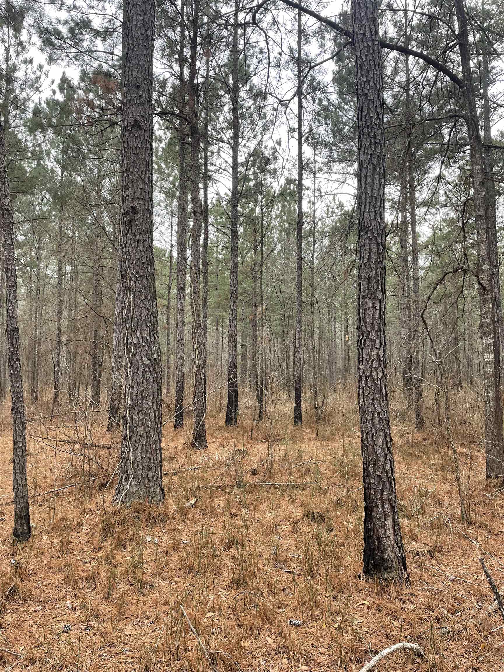 Tbd Rocky Ford Rd. Property Photo 7