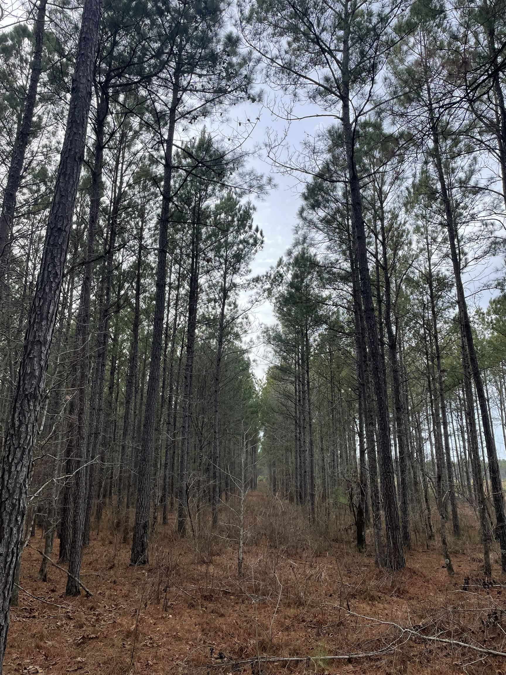 Tbd Rocky Ford Rd. Property Photo 8