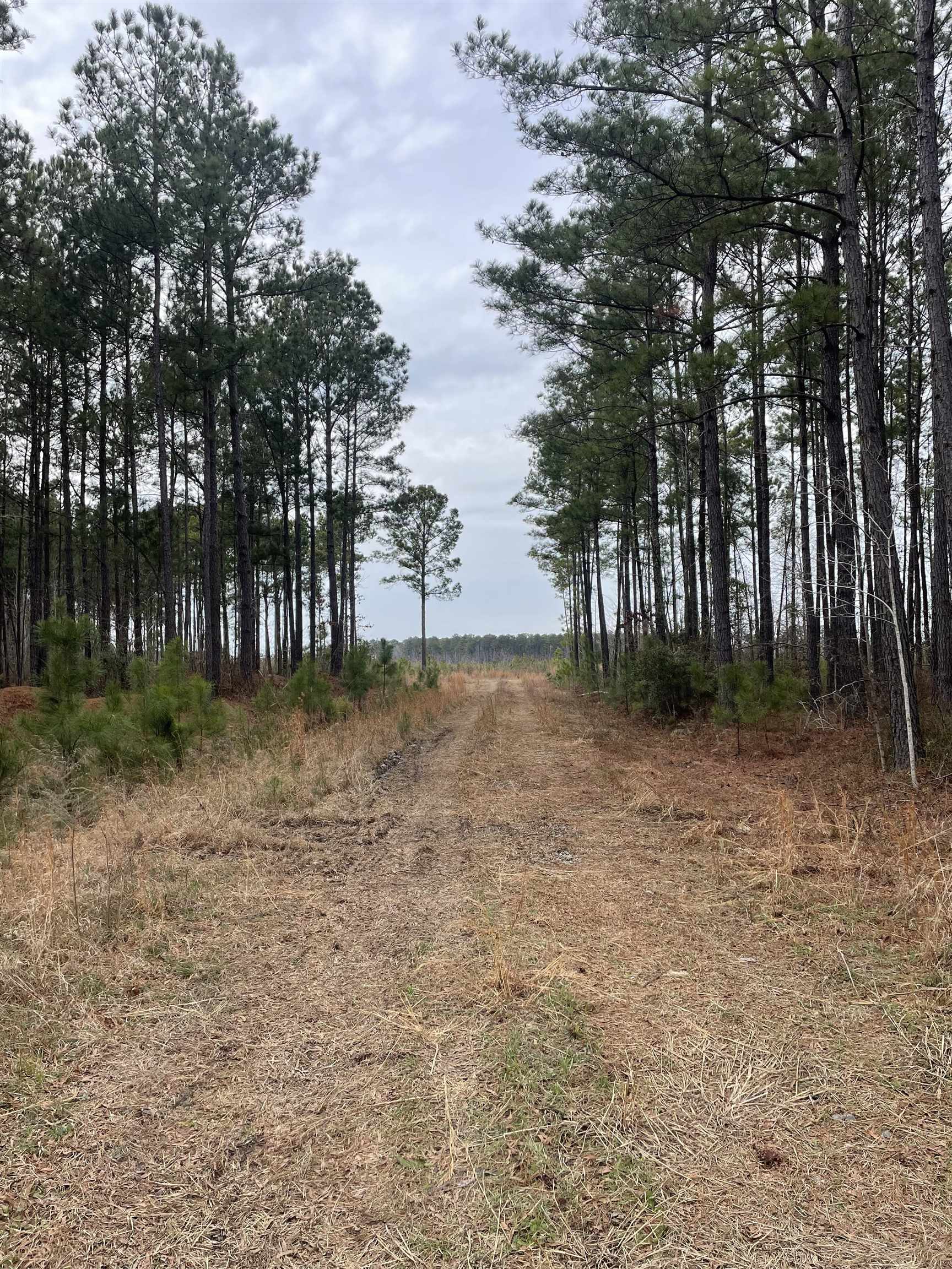 Tbd Rocky Ford Rd. Property Photo 9