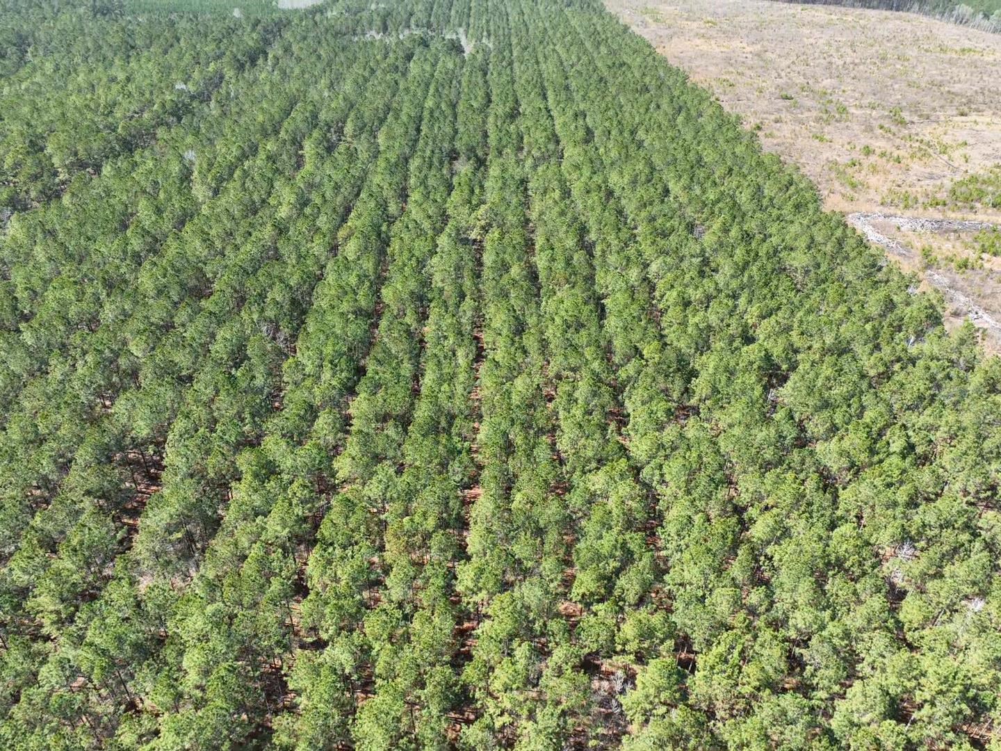 Tbd Rocky Ford Rd. Property Photo 10