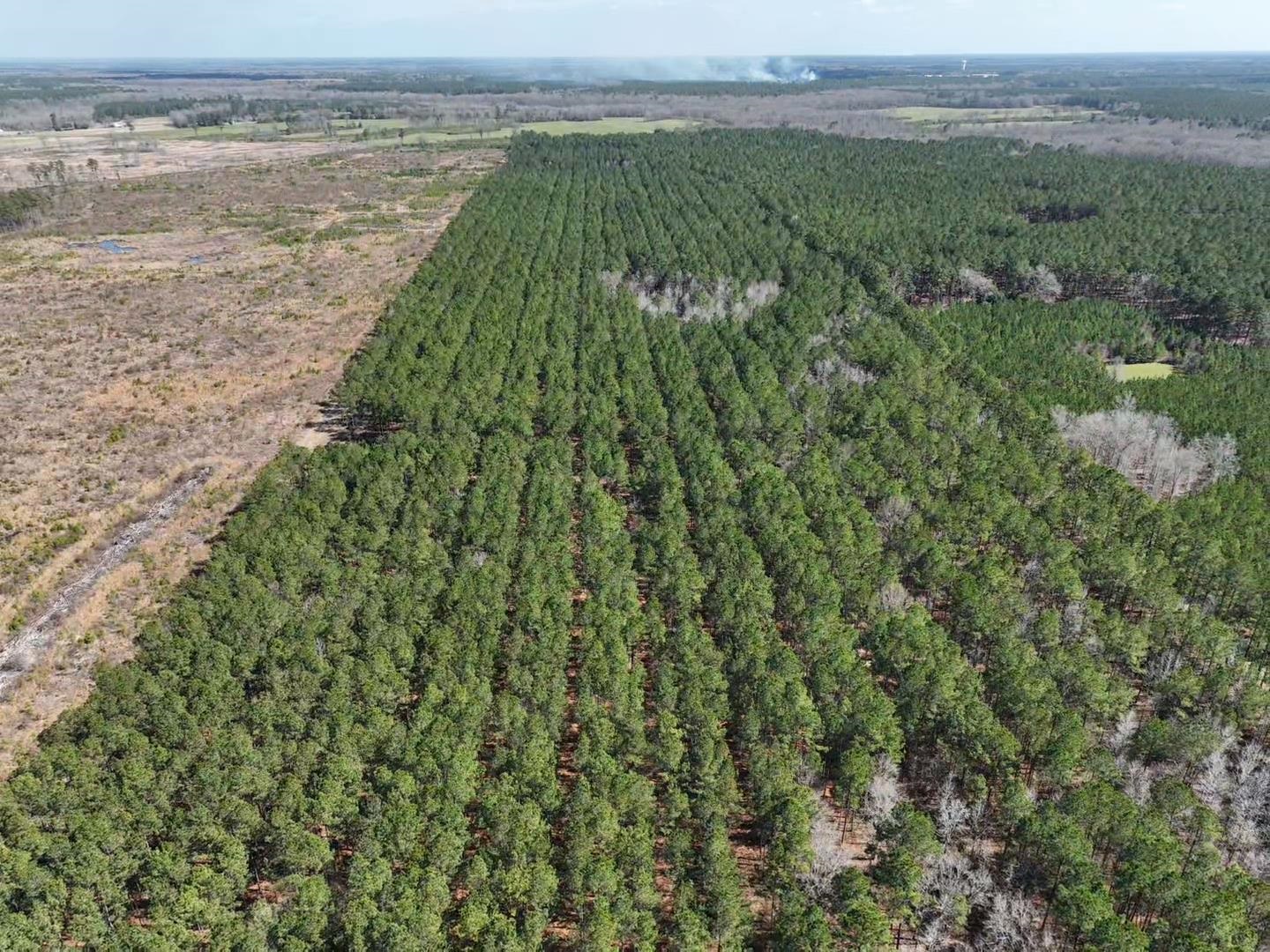 Tbd Rocky Ford Rd. Property Photo 11