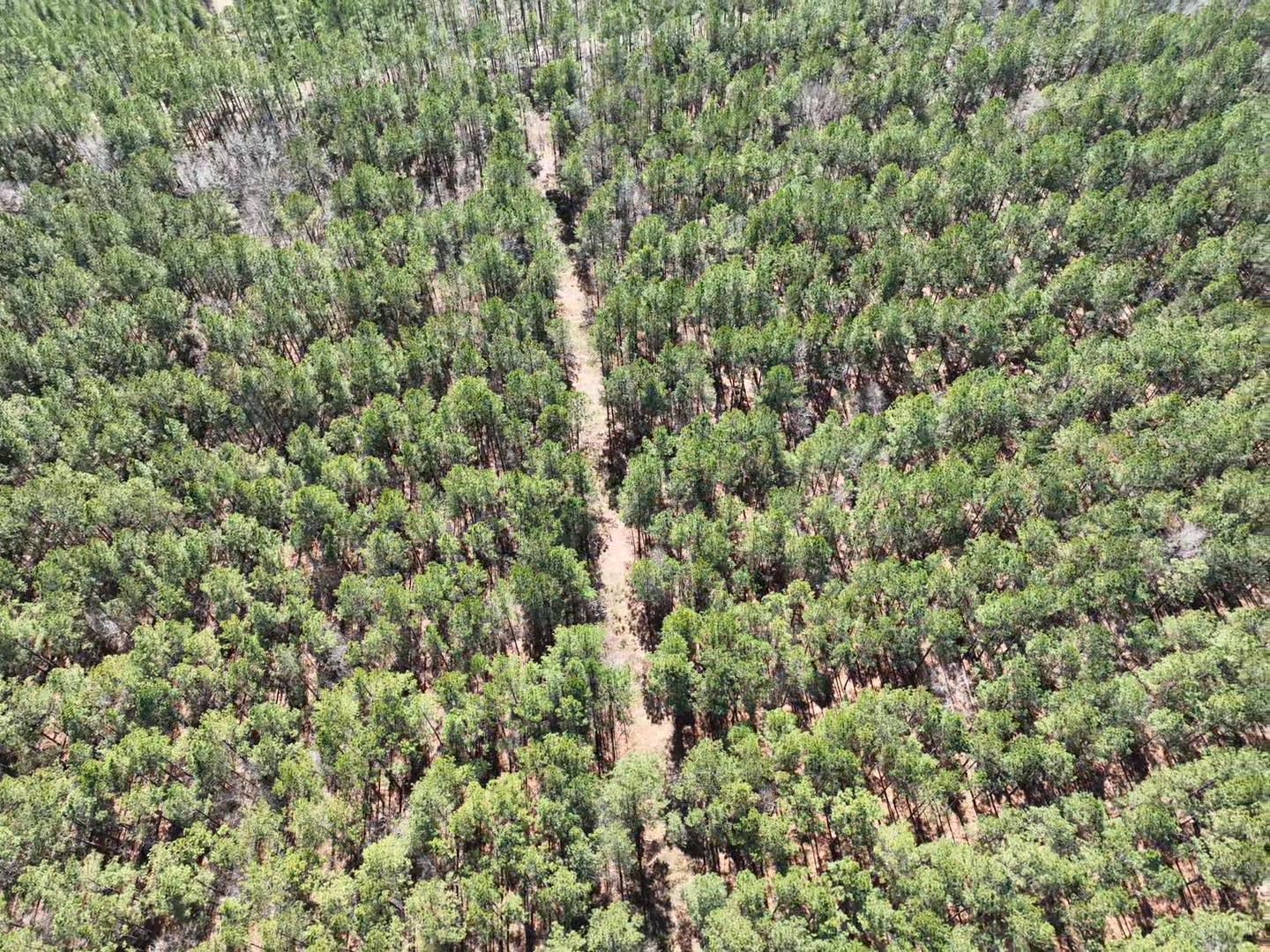 Tbd Rocky Ford Rd. Property Photo 12