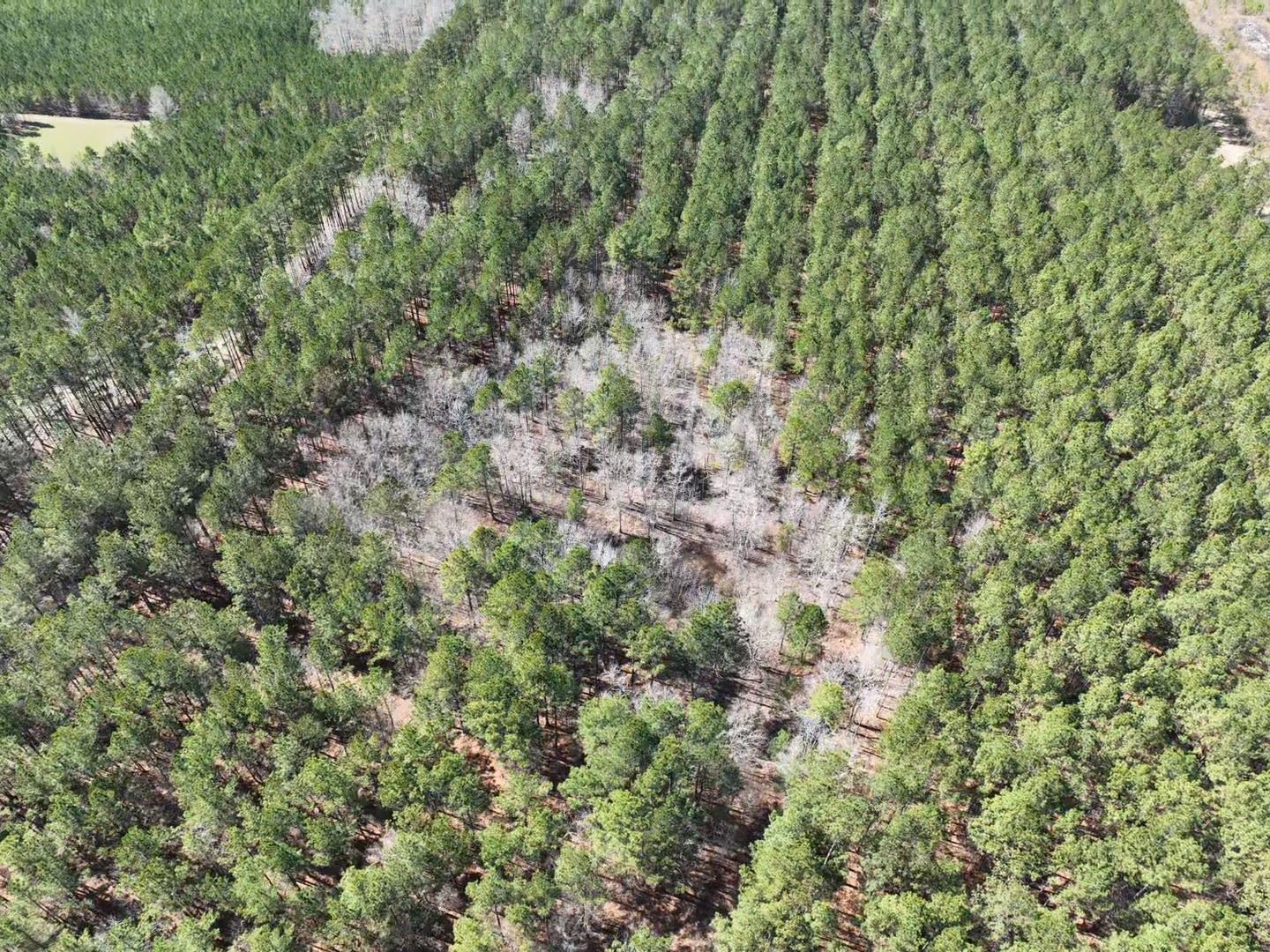 Tbd Rocky Ford Rd. Property Photo 13