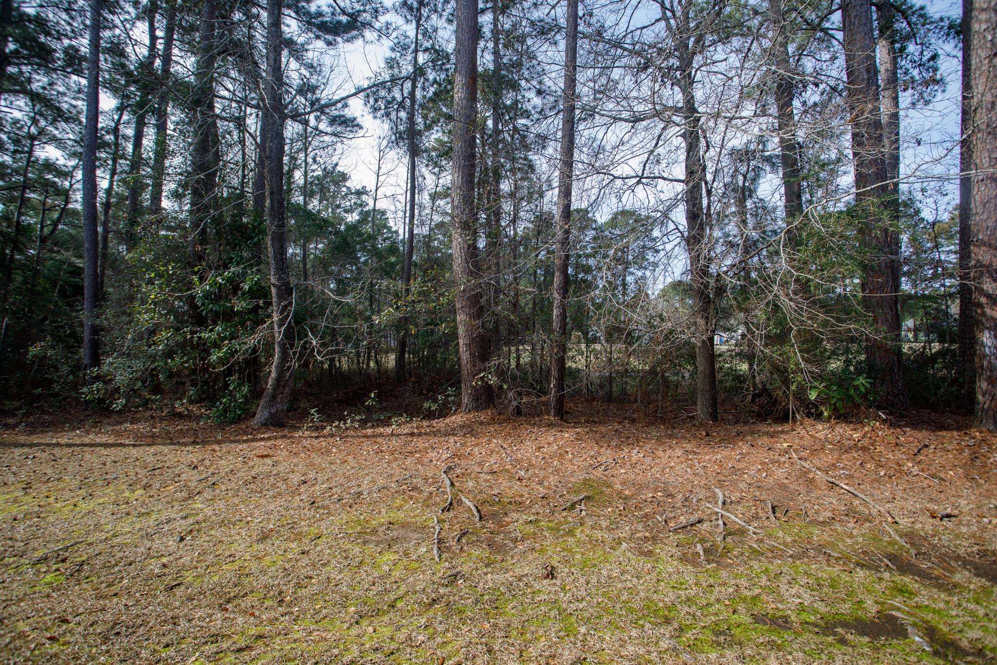 160 Lazy Willow Ln. Property Photo 34