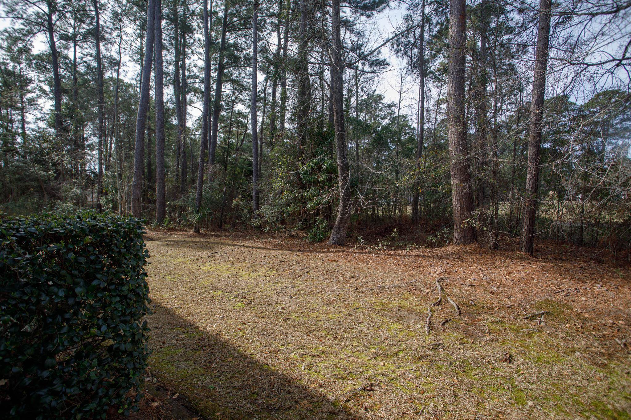 160 Lazy Willow Ln. Property Photo 35