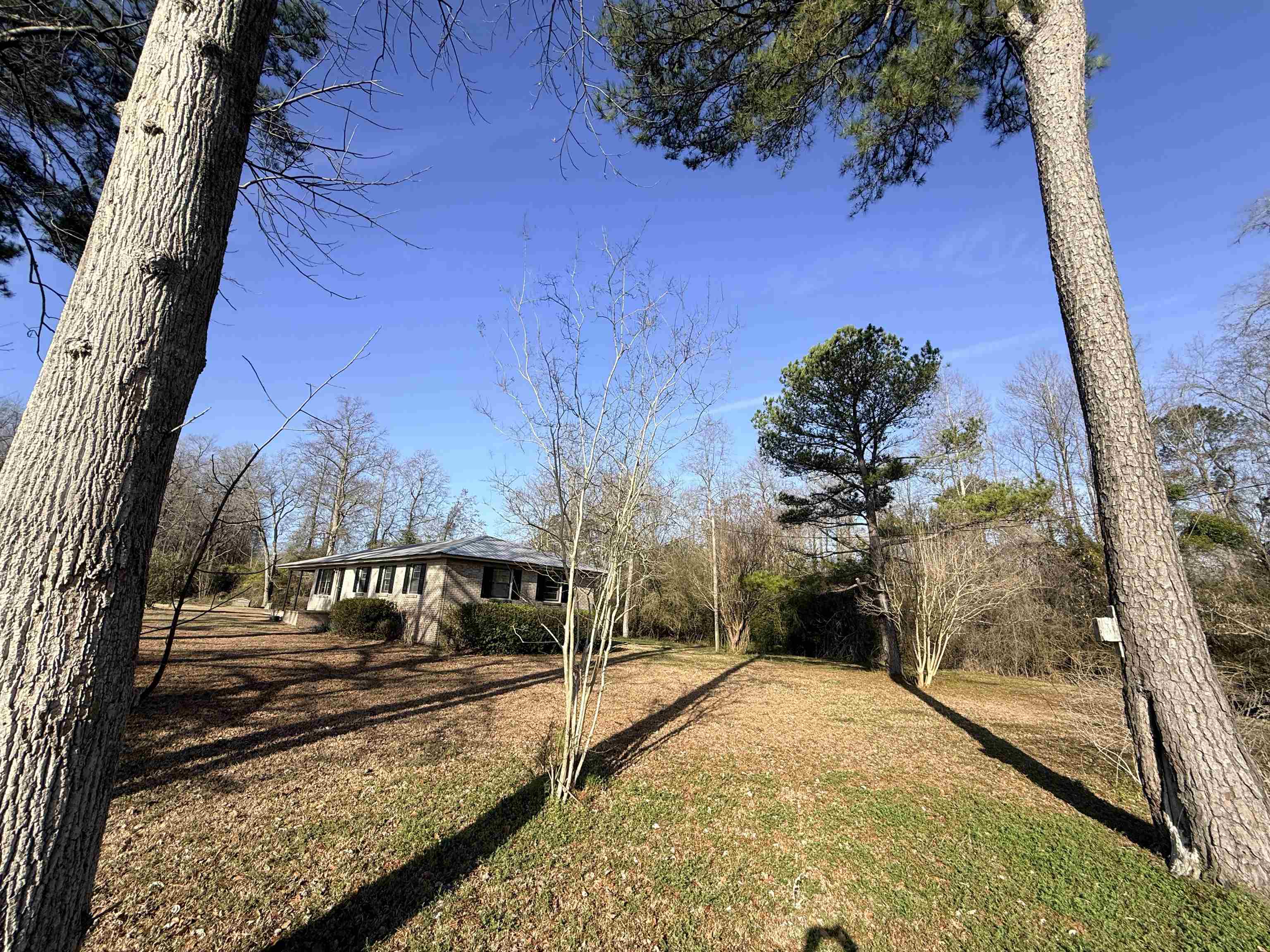 2336 Macedonia Dr. Property Photo 3