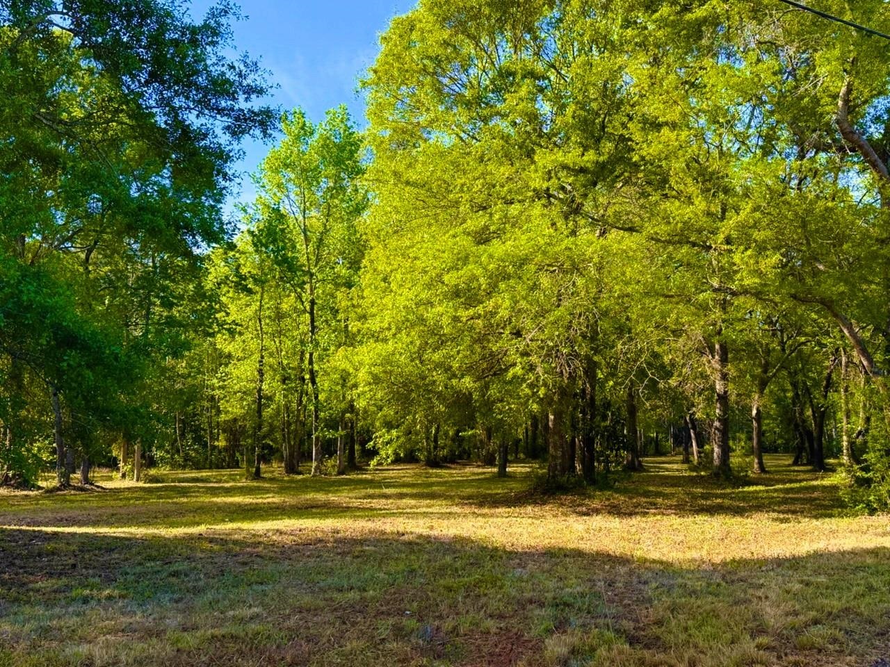 9985 Highway 17 North Property Photo 2