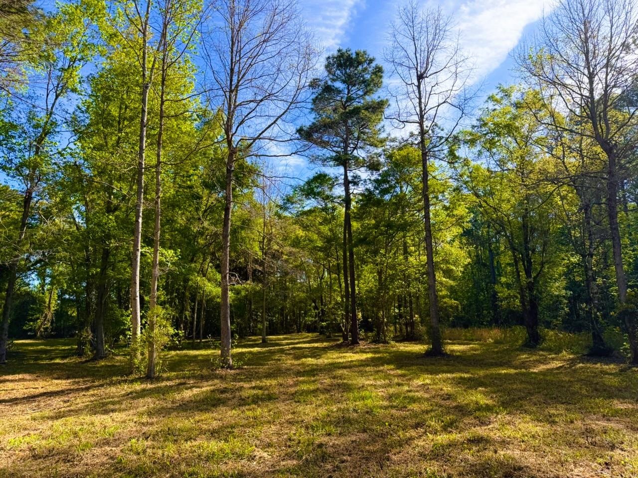 9985 Highway 17 North Property Photo 7