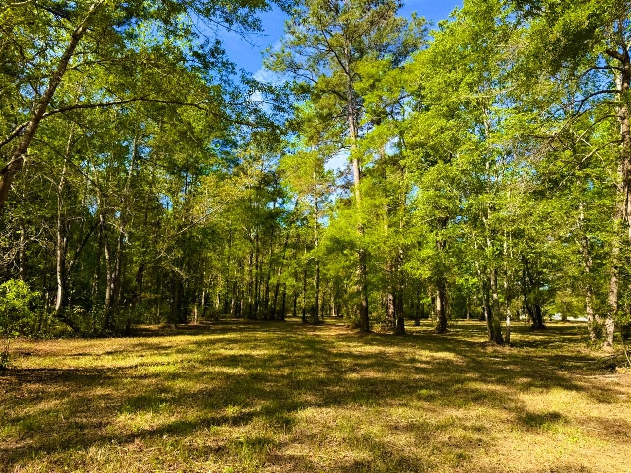 9985 Highway 17 North Property Photo 8