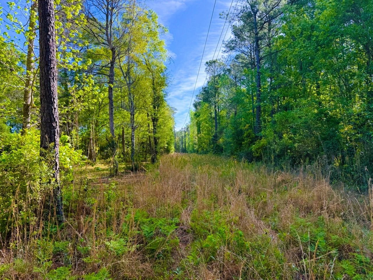 9985 Highway 17 North Property Photo 10