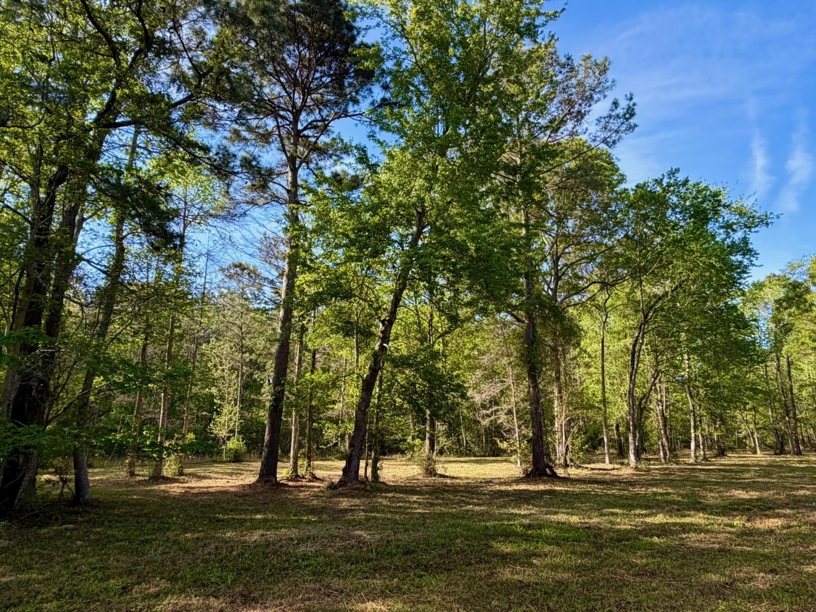 9985 Highway 17 North Property Photo 11