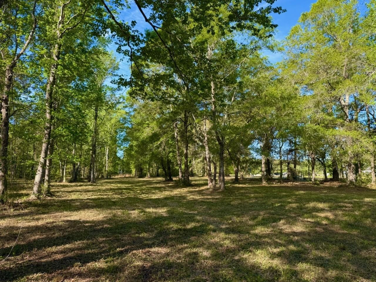 9985 Highway 17 North Property Photo 12