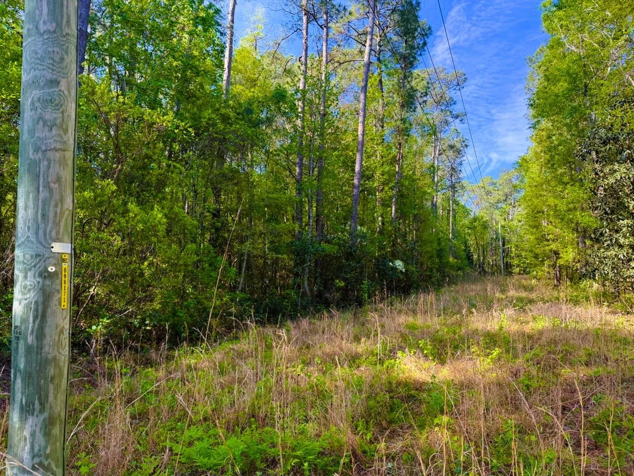 9985 Highway 17 North Property Photo 15
