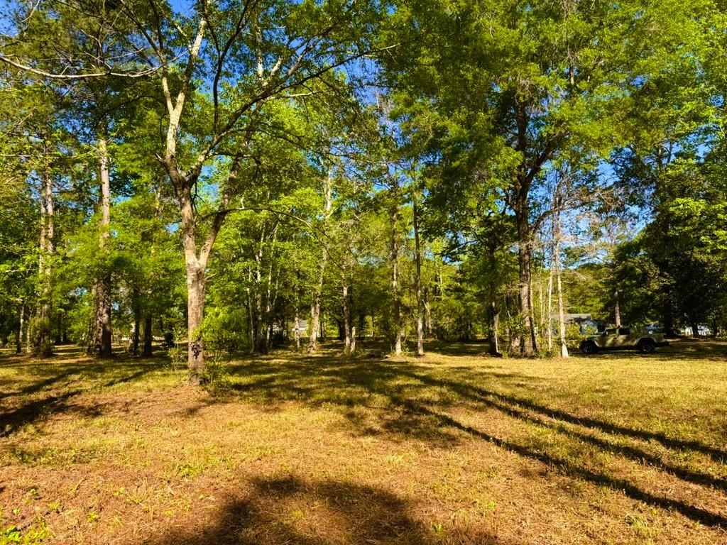 9985 Highway 17 North Property Photo 16