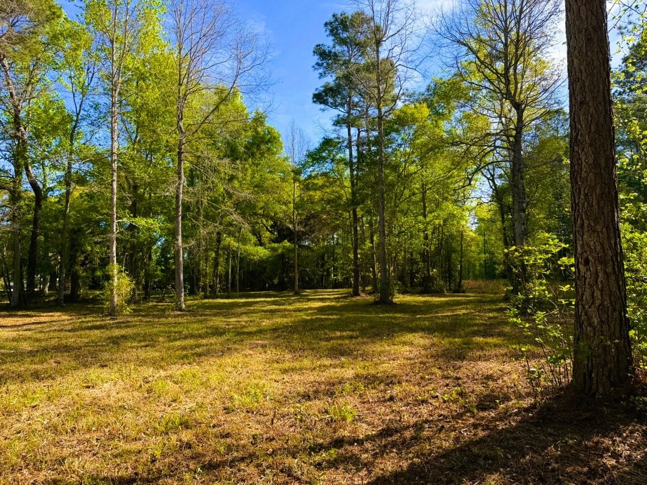 9985 Highway 17 North Property Photo 17