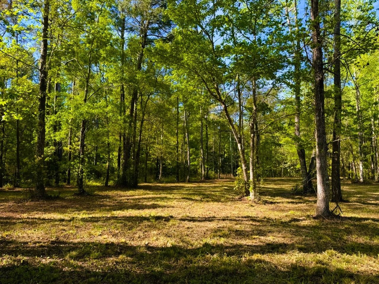 9985 Highway 17 North Property Photo 19