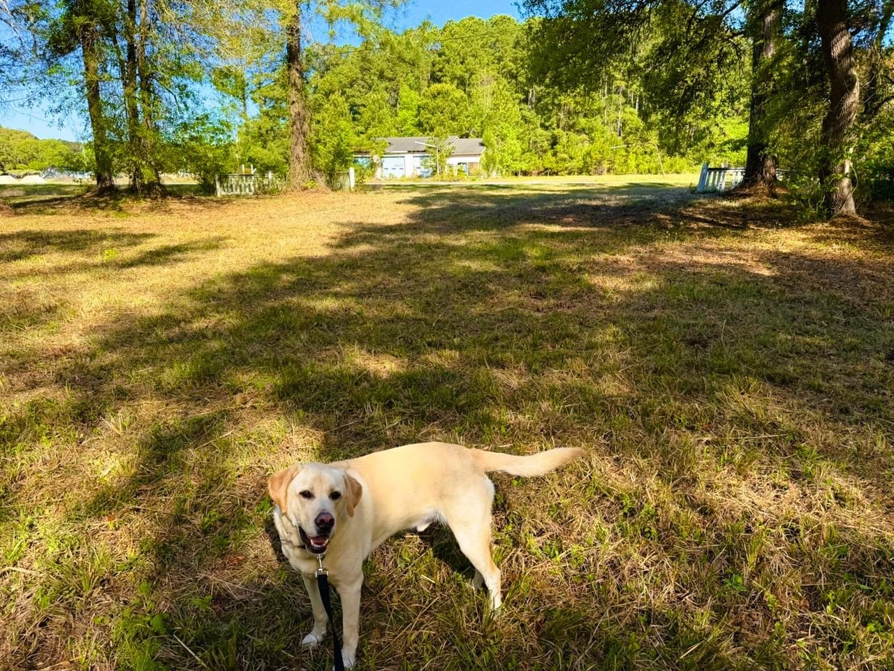 9985 Highway 17 North Property Photo 20