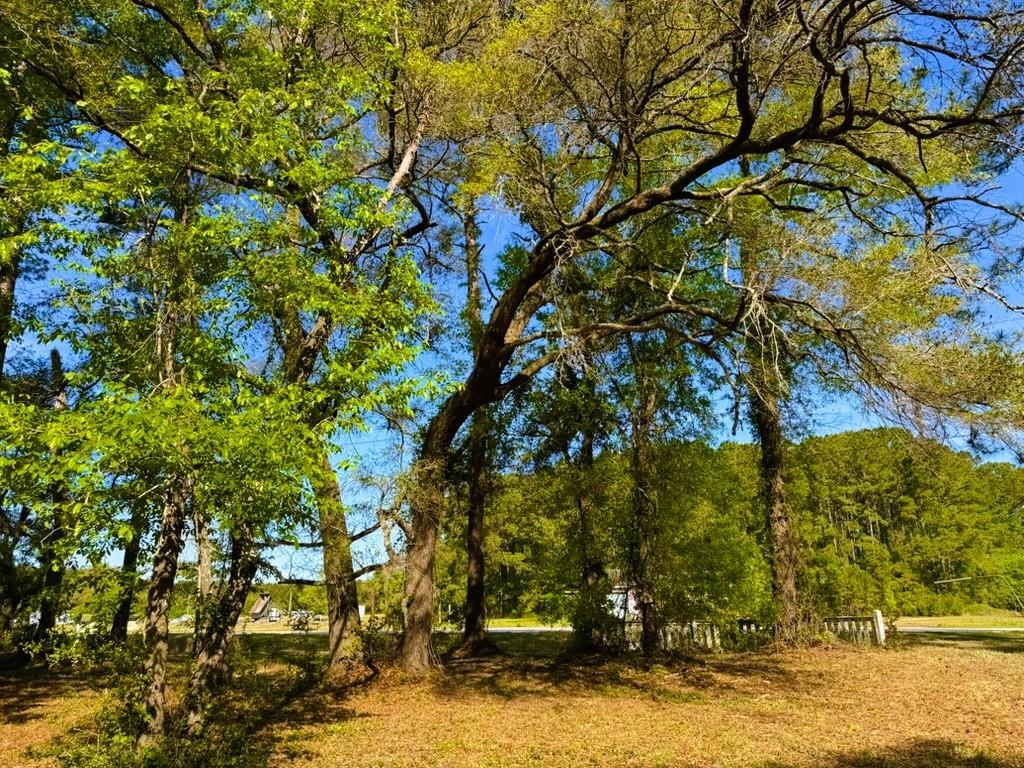 9985 Highway 17 North Property Photo 22