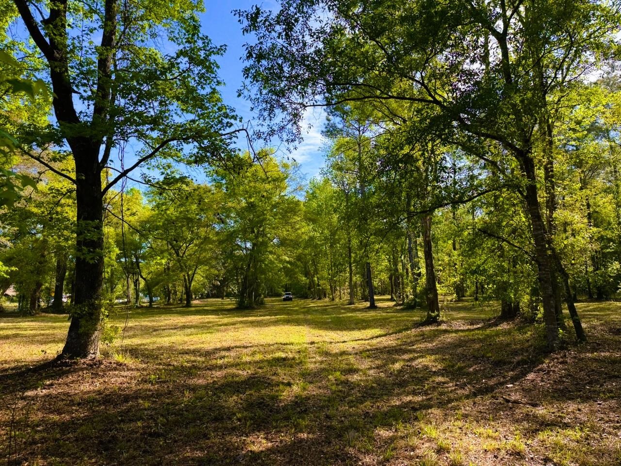 9985 Highway 17 North Property Photo 24