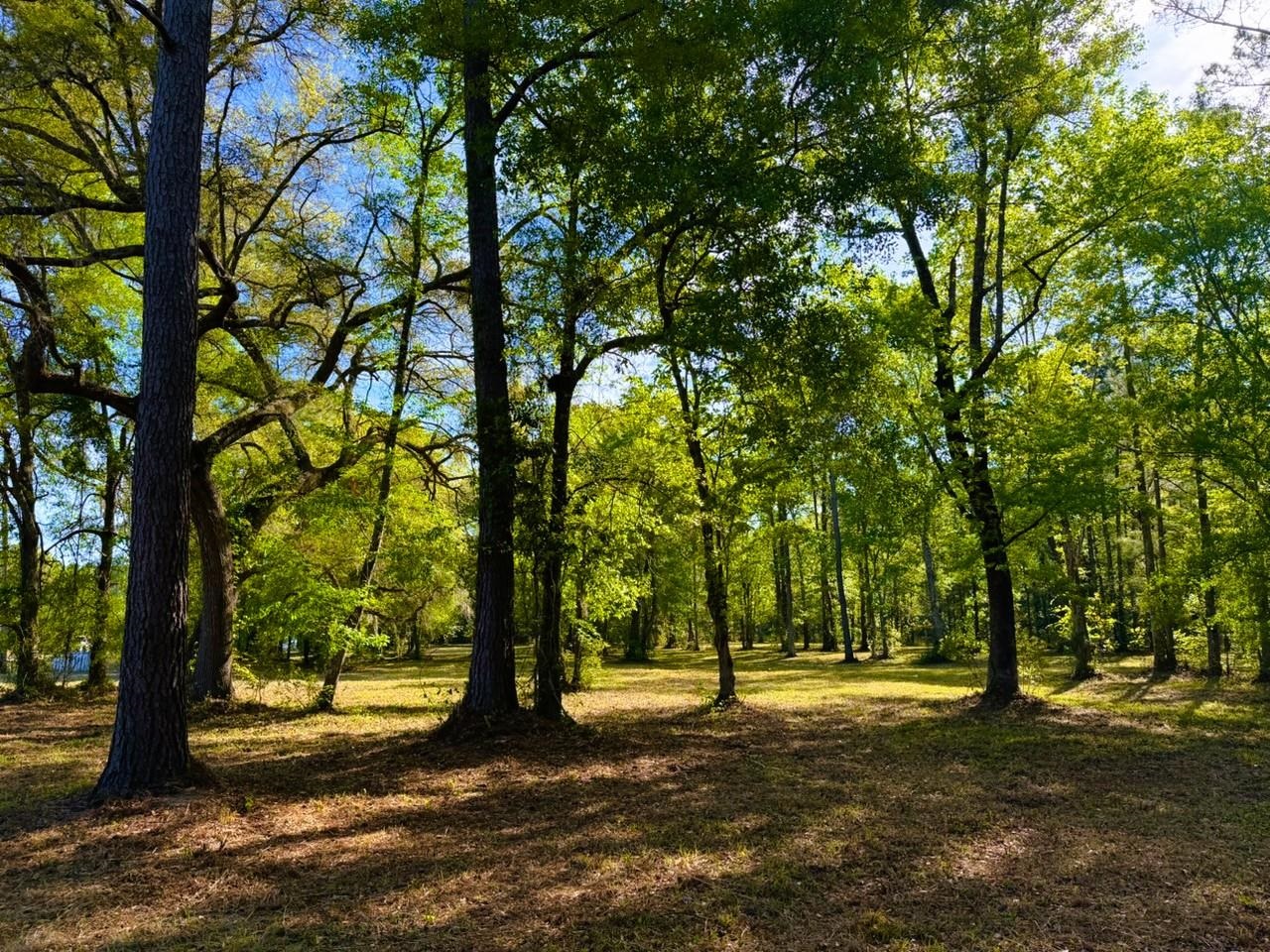 9985 Highway 17 North Property Photo 25