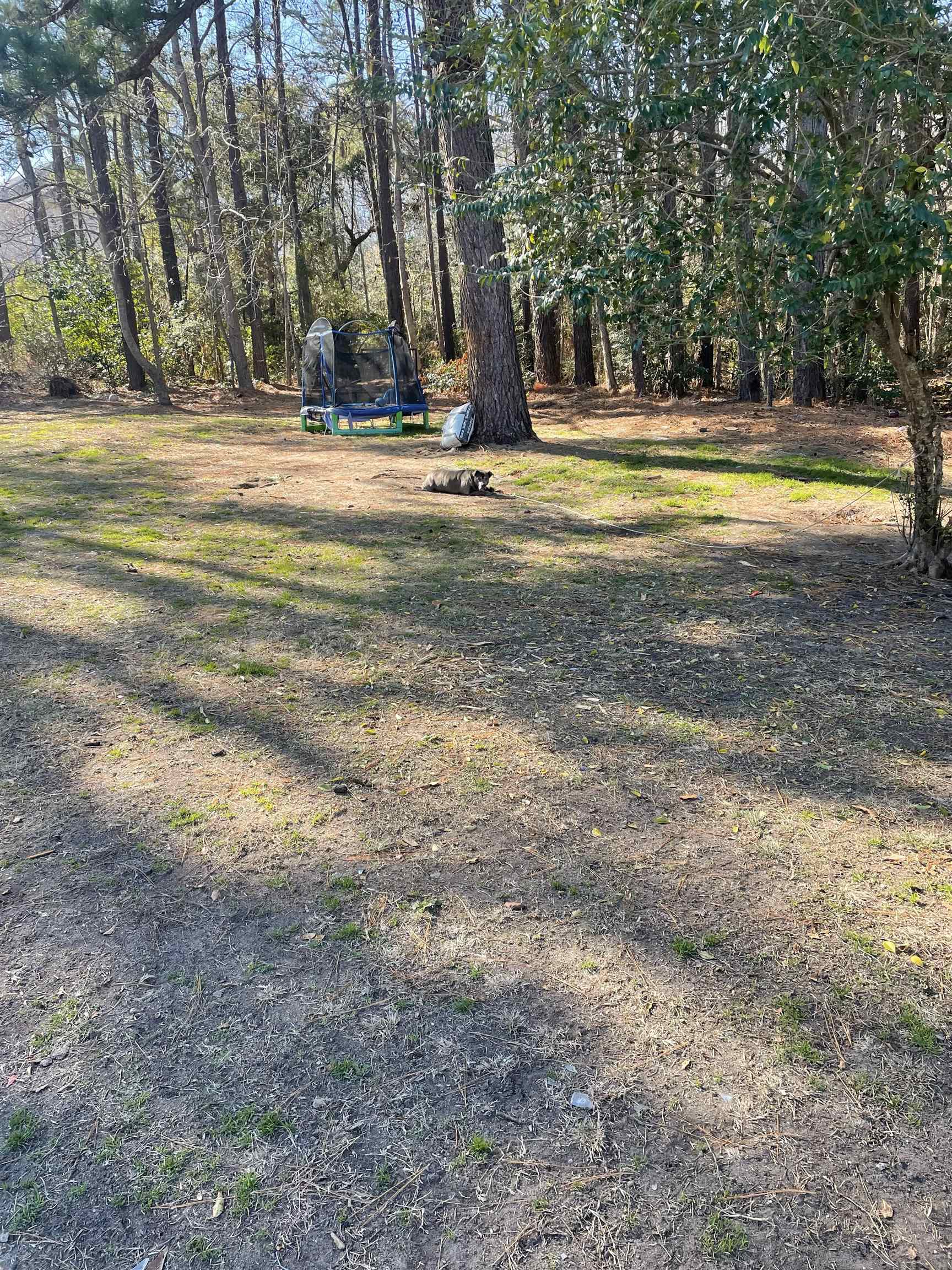 Tbd Lomax Ct. Property Photo 1