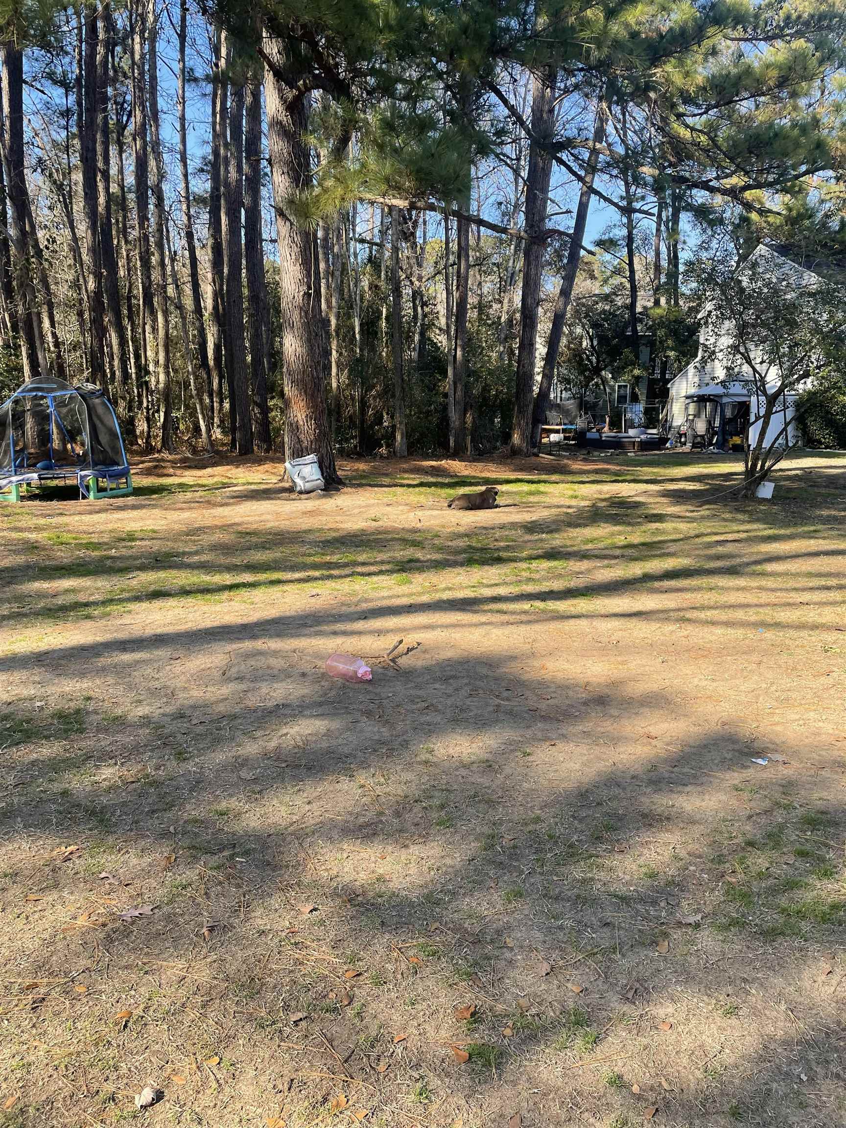 Tbd Lomax Ct. Property Photo 4