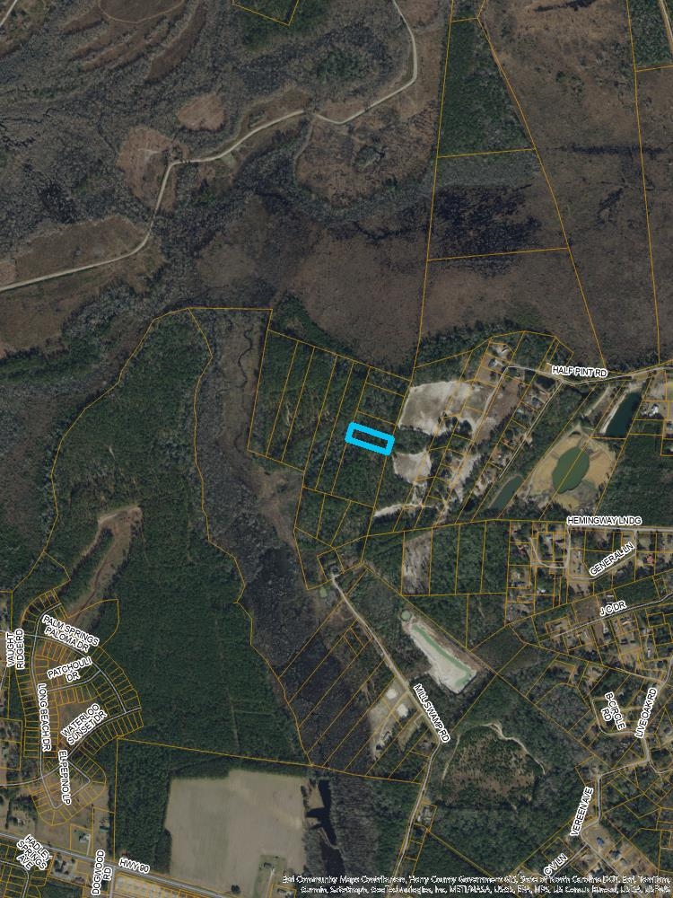 S Mill Swamp Rd. Property Photo 2