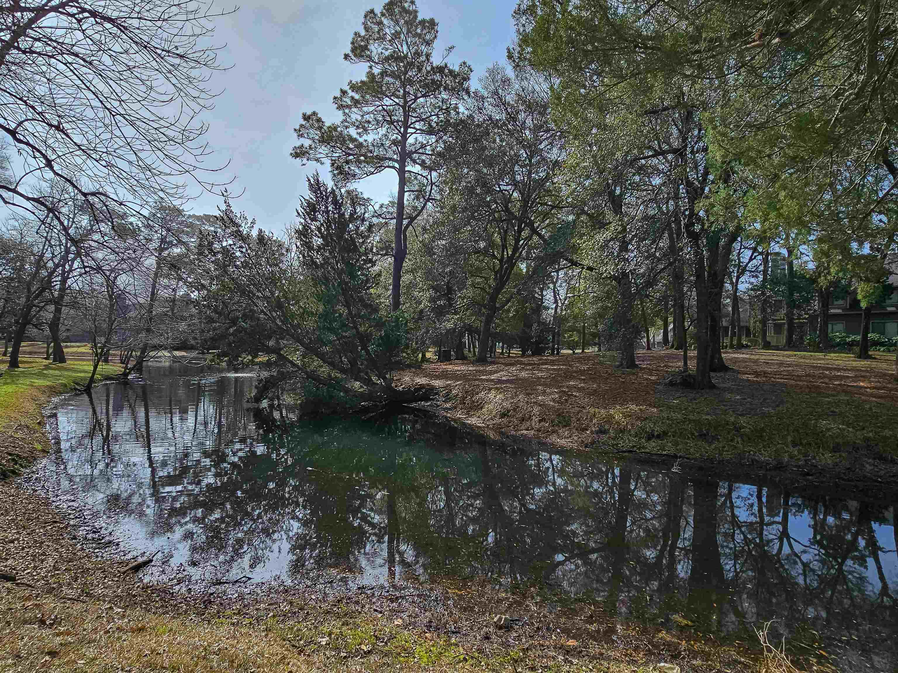 226 Westleton Dr. Property Photo 5