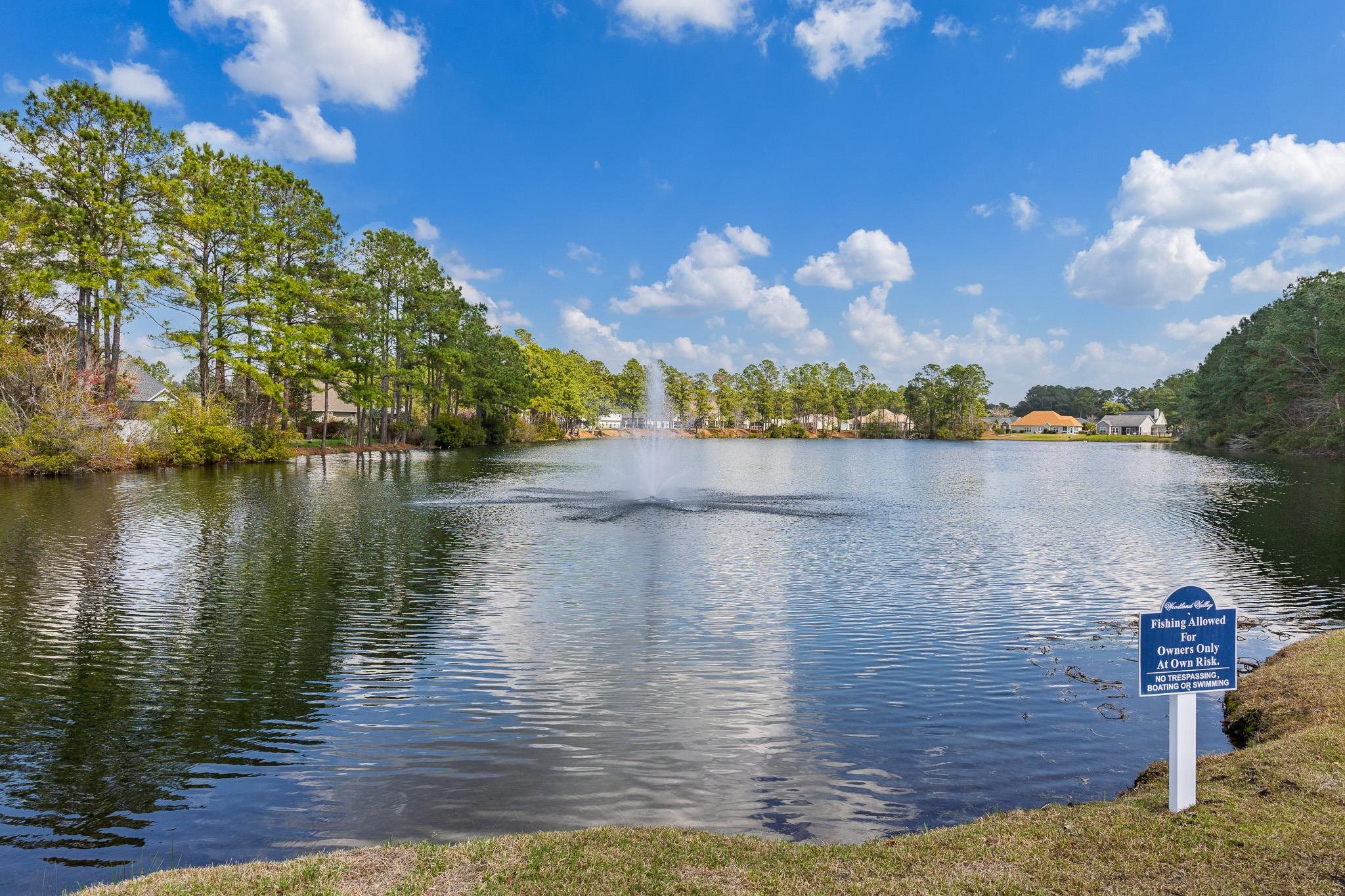 4177 Charleston Oaks Dr Property Photo 57