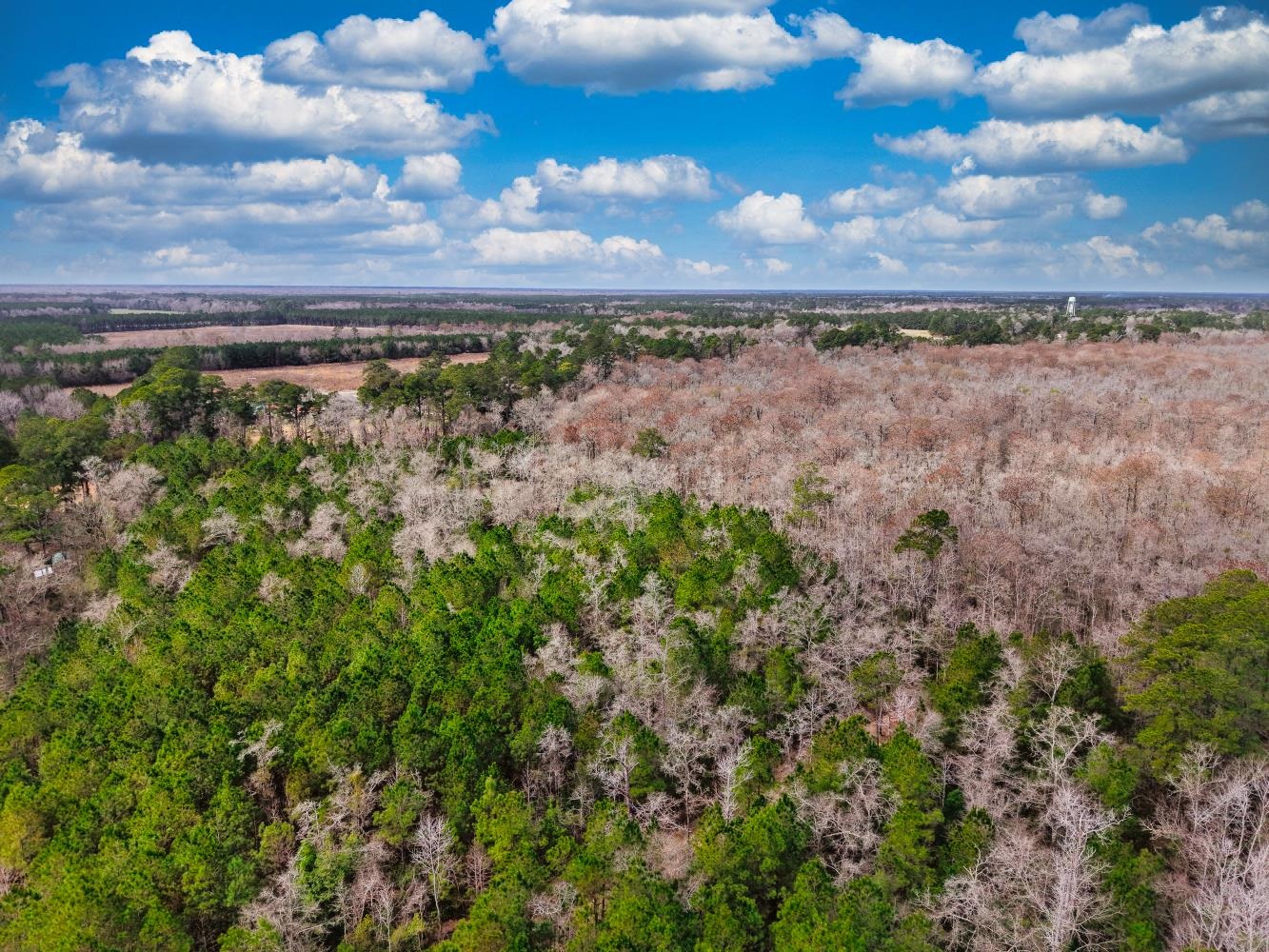 Tbd Mishoe Rd. Property Photo 3