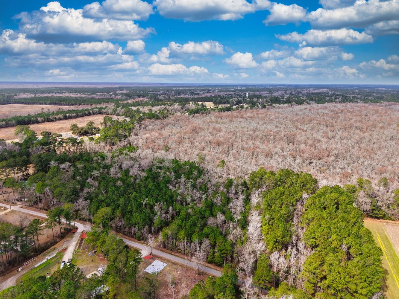 Tbd Mishoe Rd. Property Photo 4