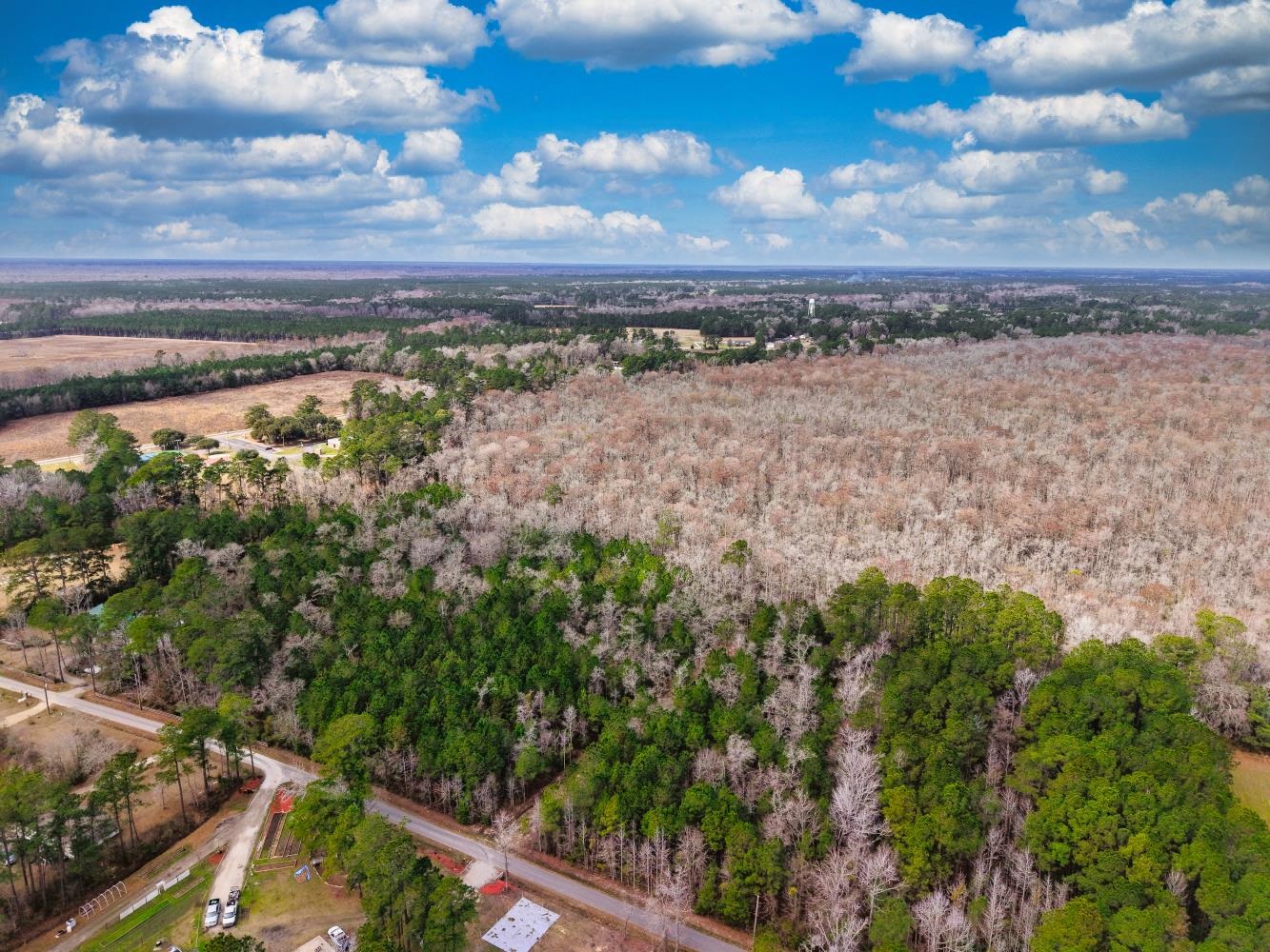 Tbd Mishoe Rd. Property Photo 5