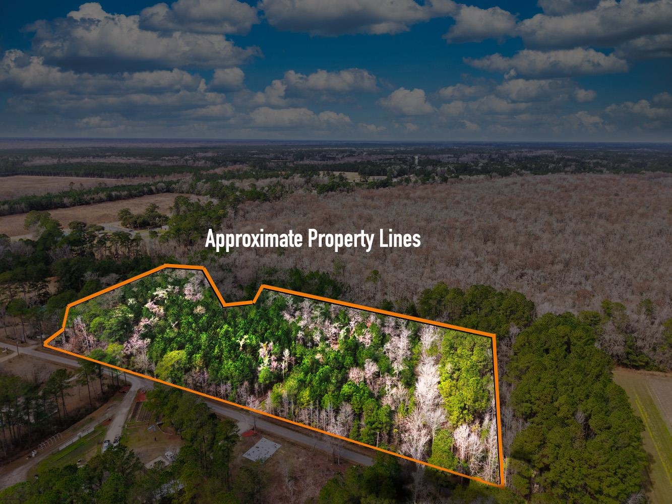 Tbd Mishoe Rd. Property Photo 7