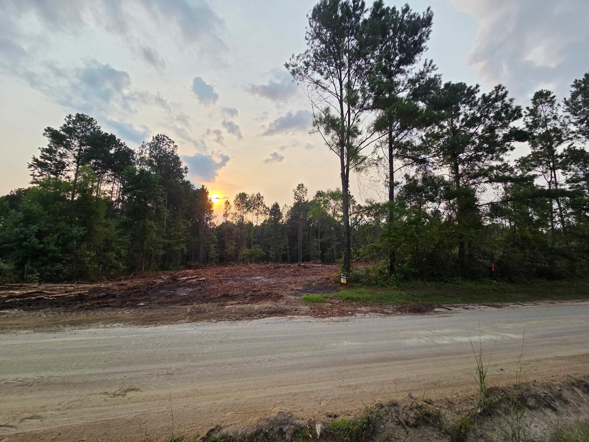 Tbd Lawson Rd. Property Photo 1