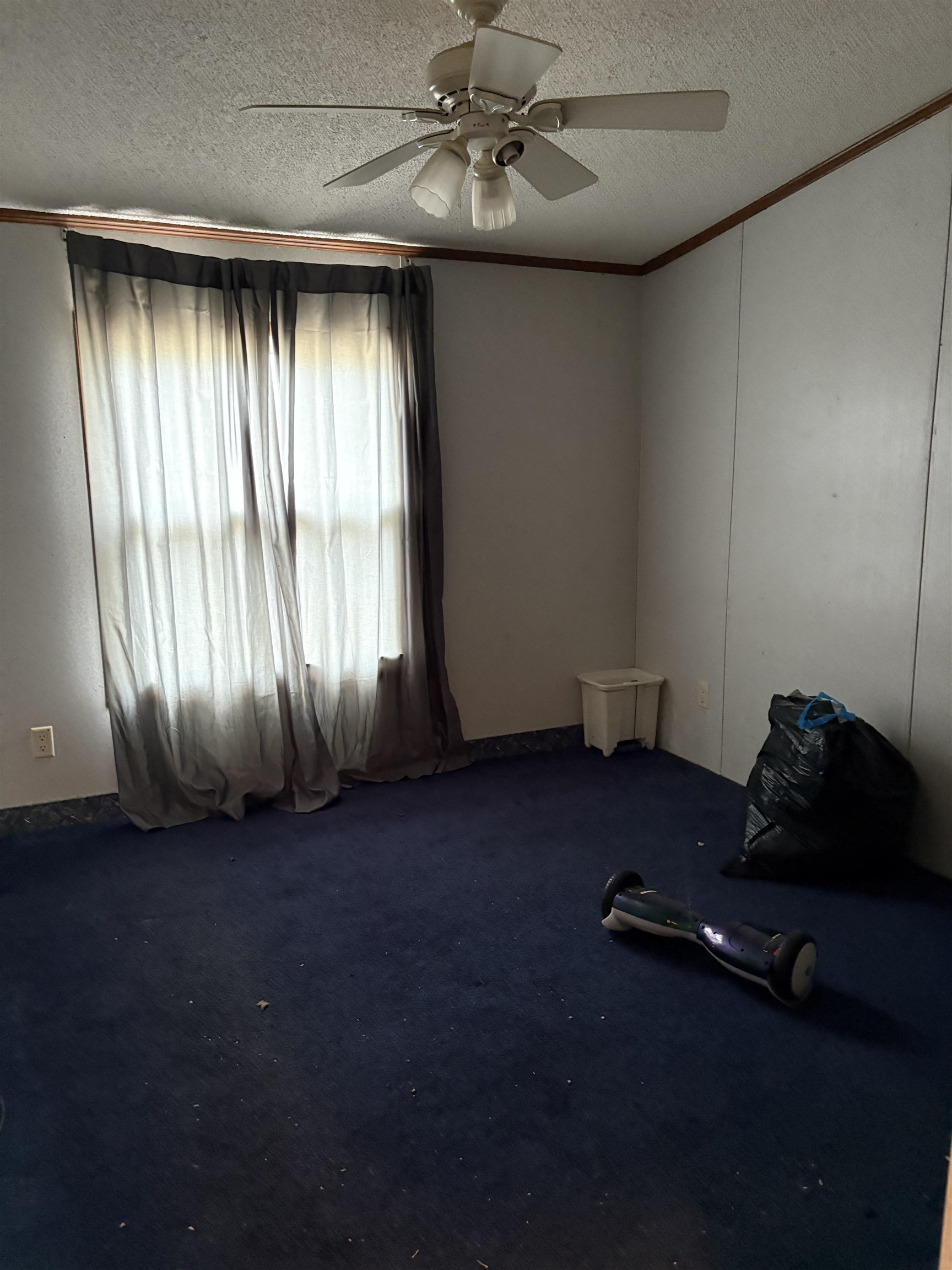 2070 Martin St. Property Photo 21