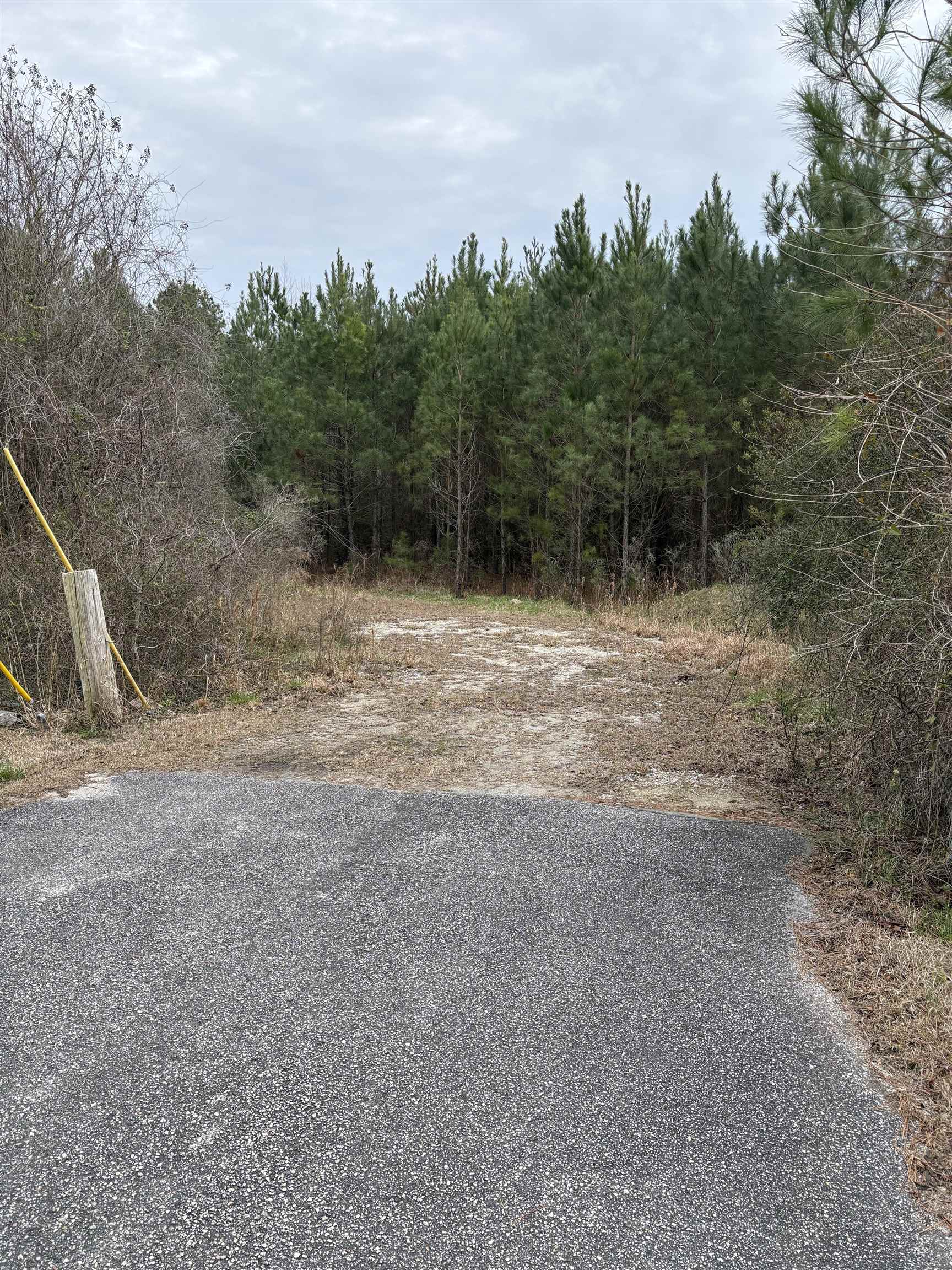 Tbd Turkey Pen Rd. Property Photo 3