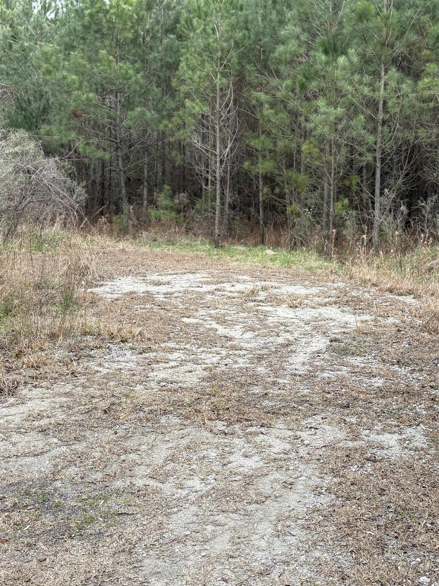 Tbd Turkey Pen Rd. Property Photo 4