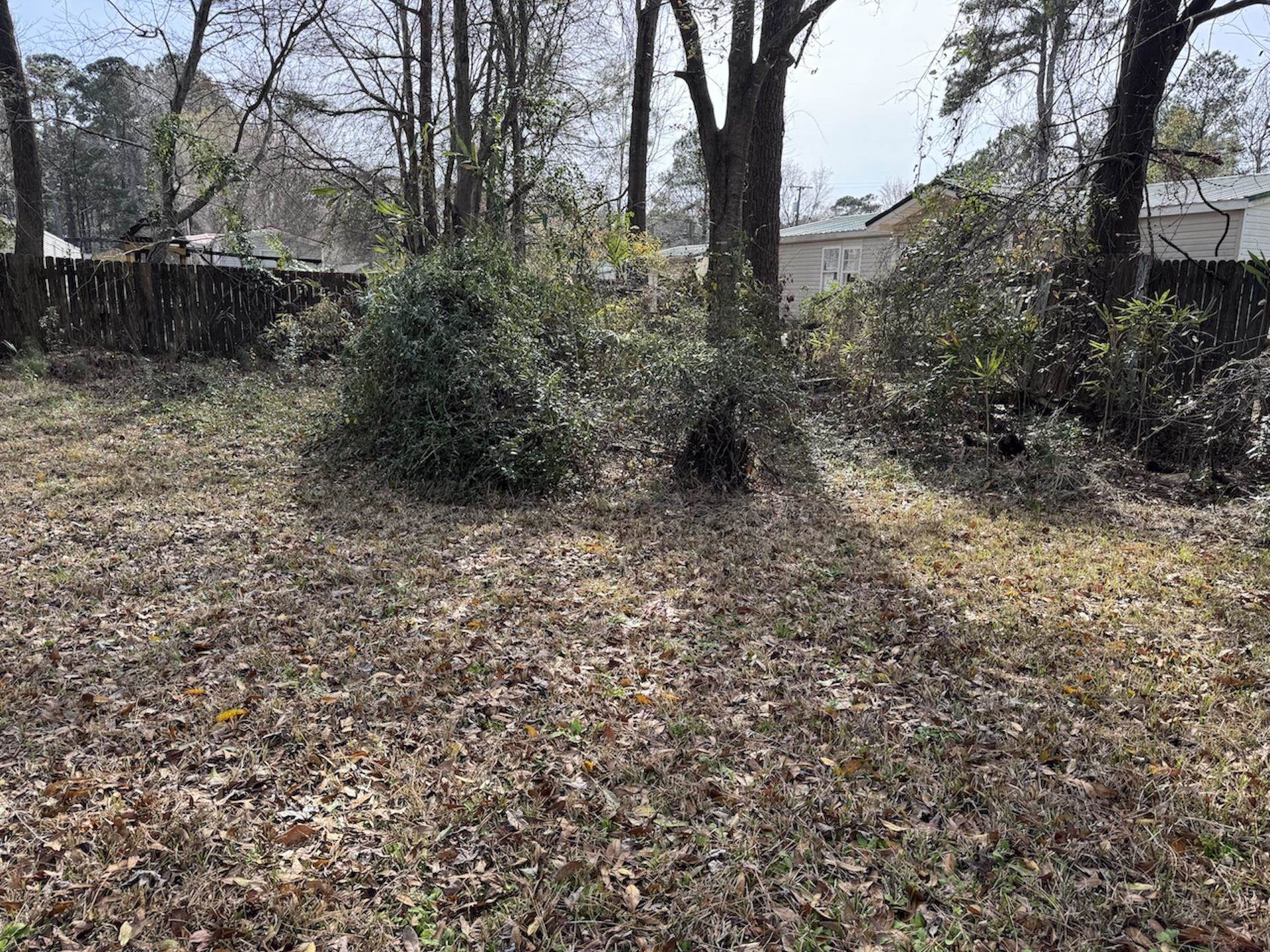 1217 Ellington St. Property Photo 3