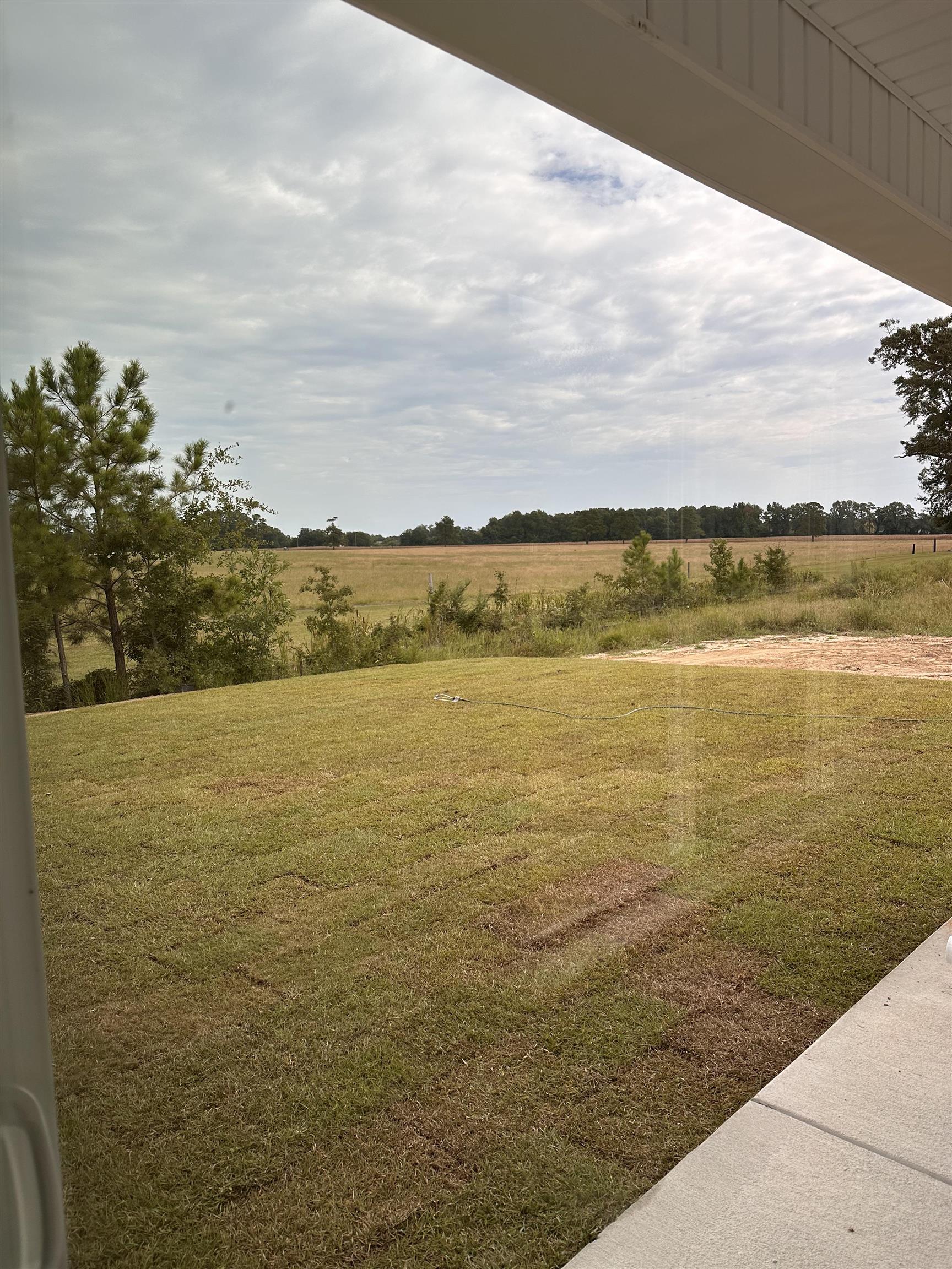 905 Ash St. Property Photo 13