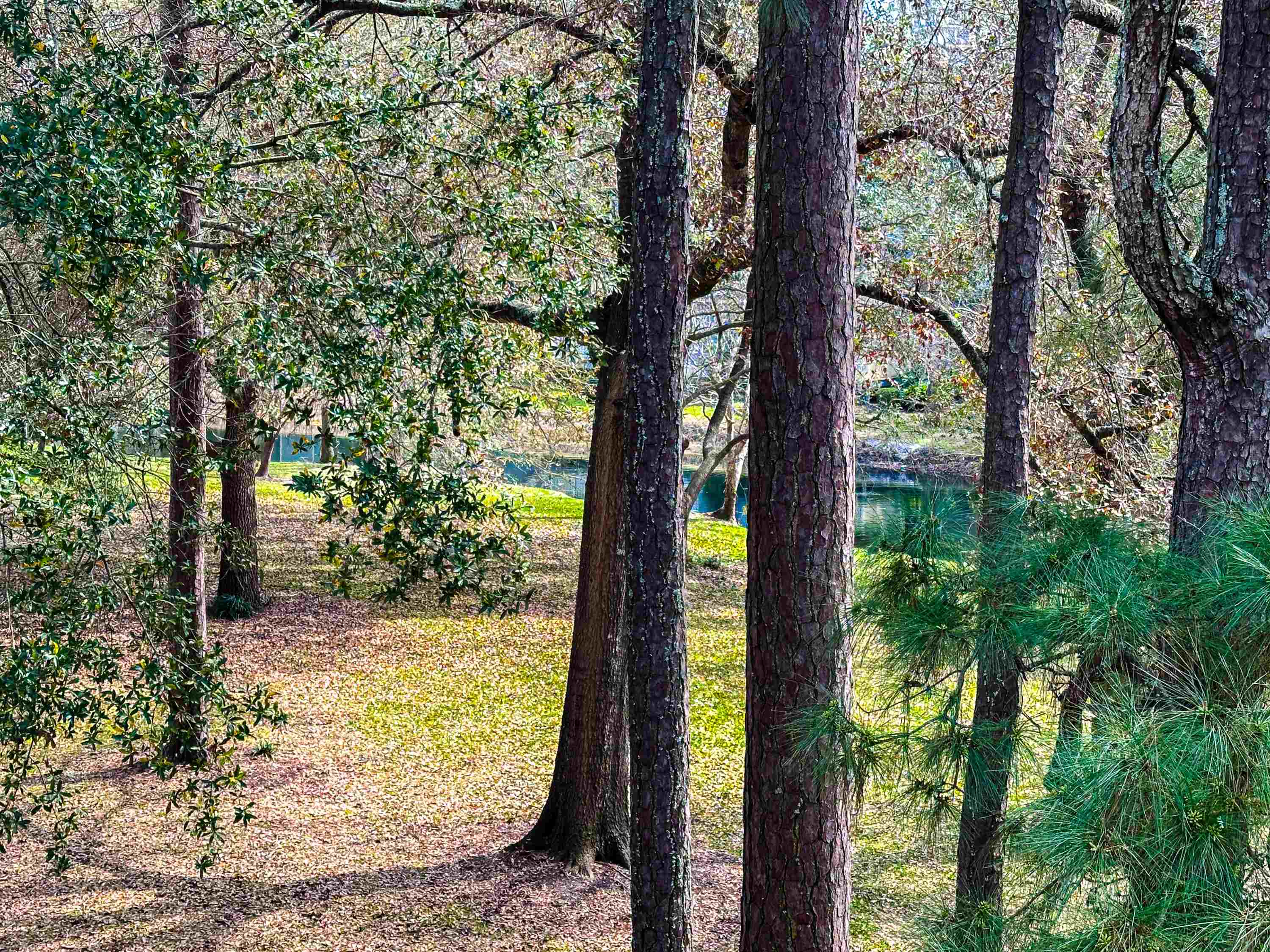 230 Westleton Dr. Property Photo 10