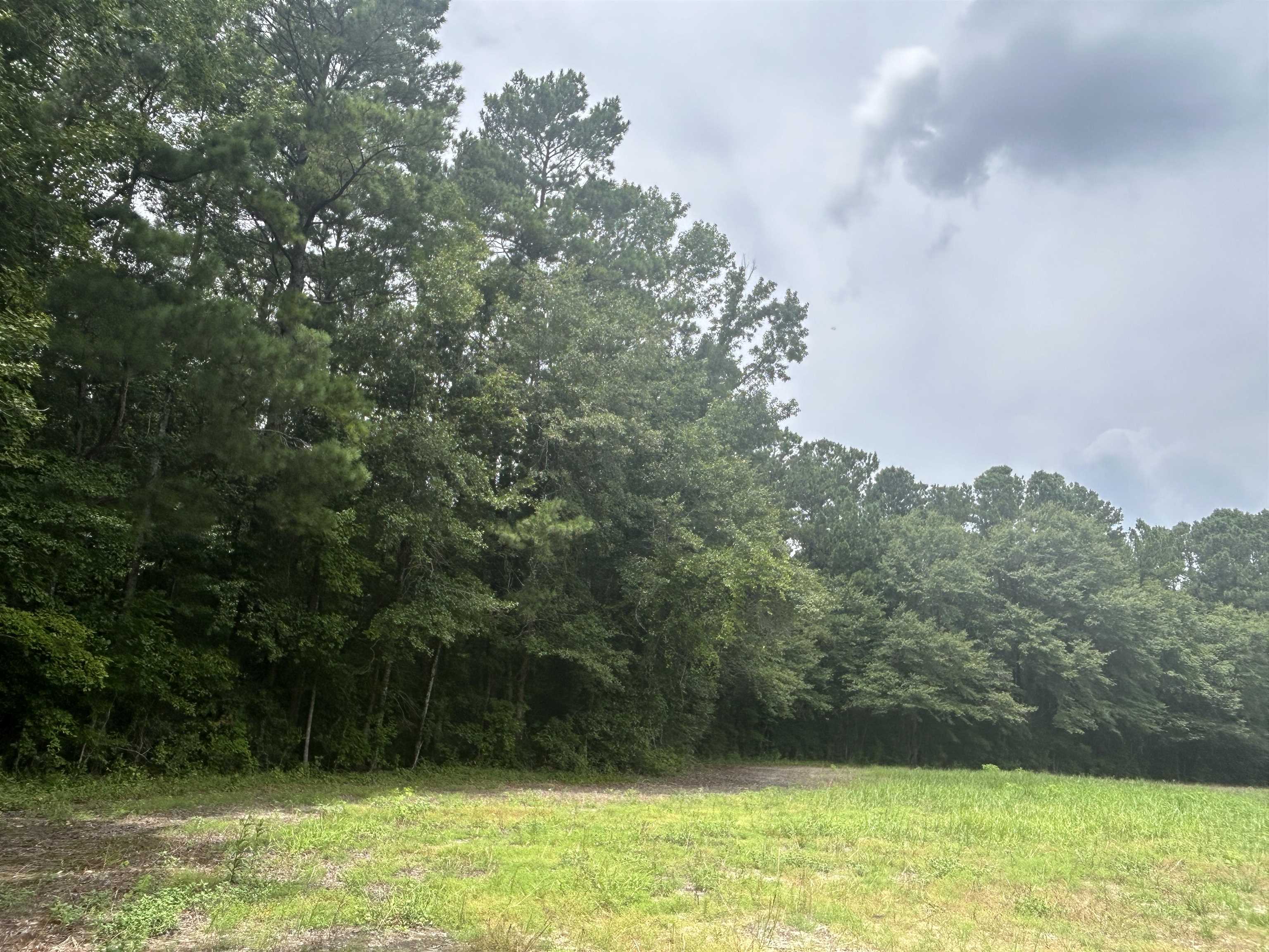 Tbd Johnson Rd. Property Photo 1