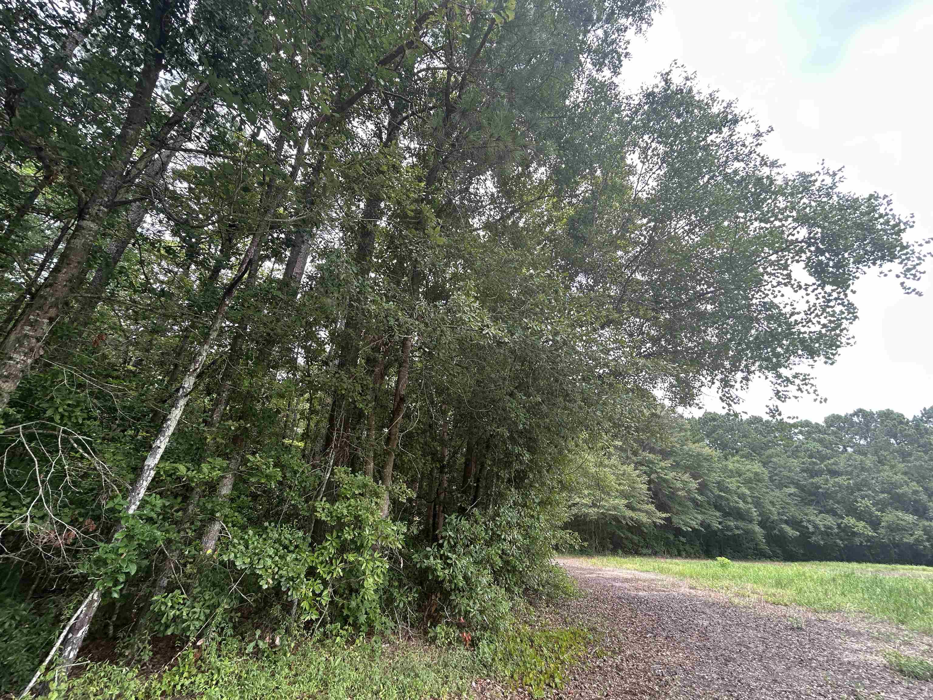 Tbd Johnson Rd. Property Photo 5