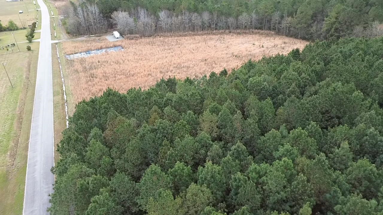 2.11 Acres Boggy Branch Rd. Property Photo 5