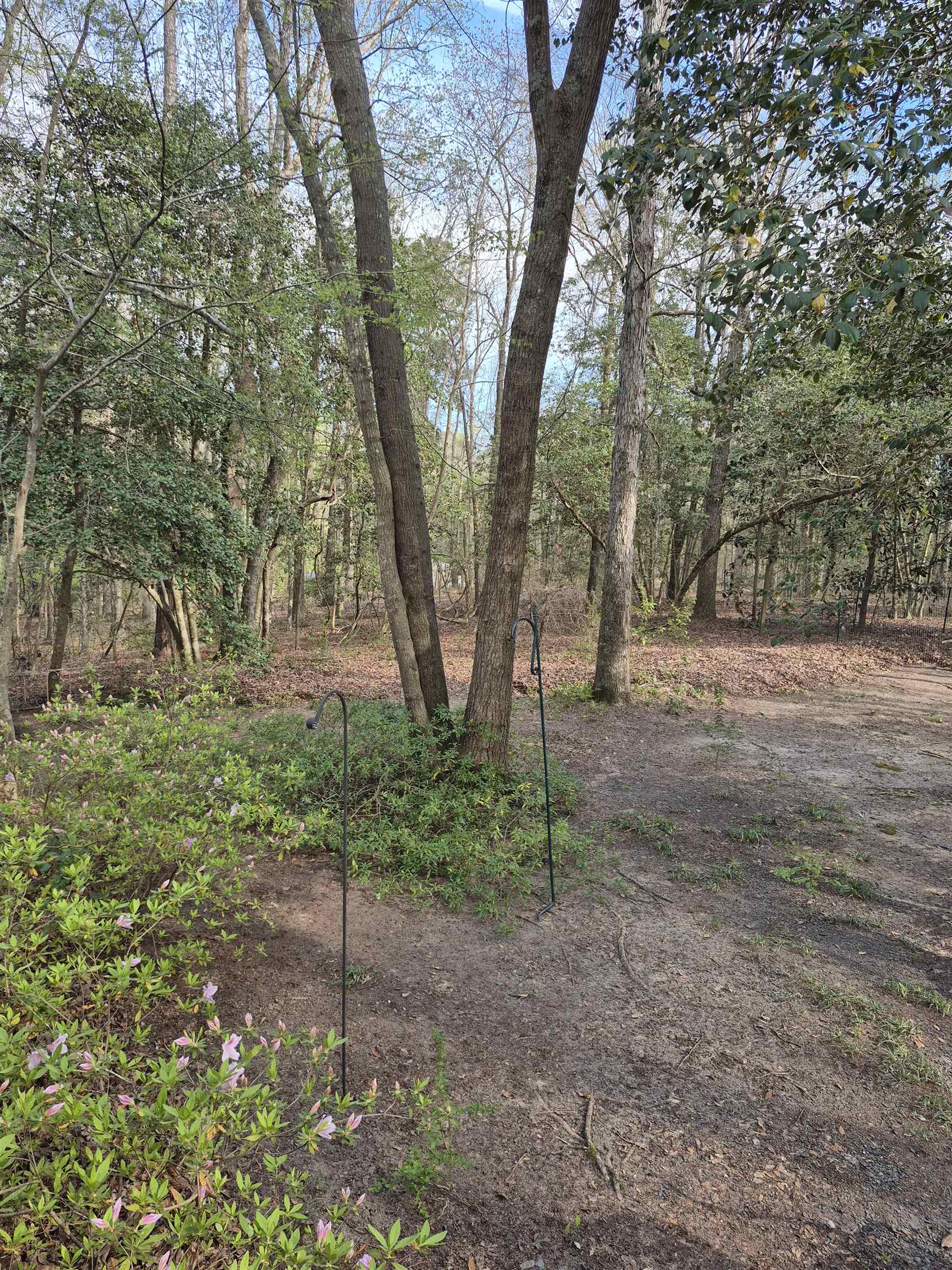 700 Steerfork Dr Property Photo 8