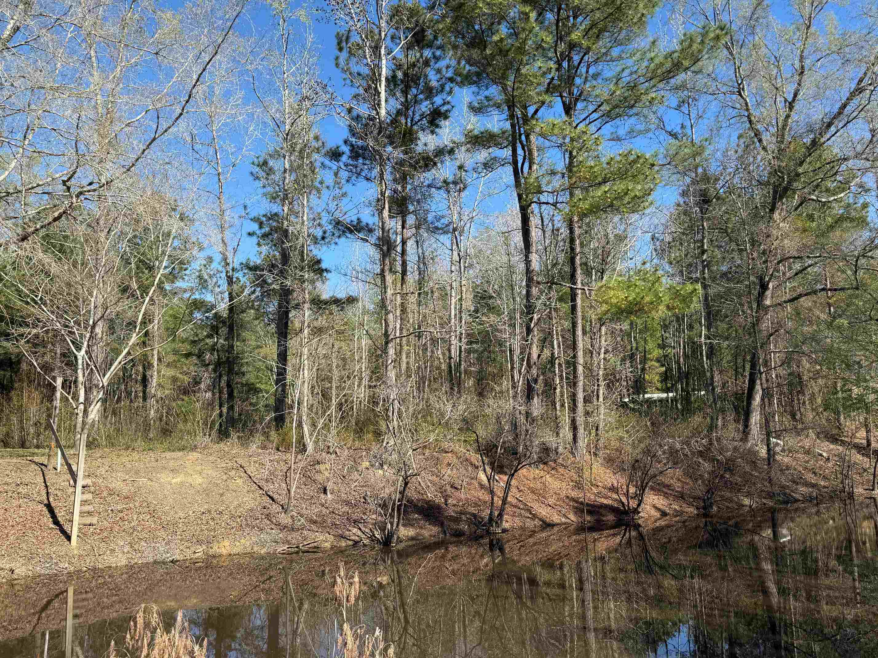 Tbd Locust Tree Ct. Property Photo 2