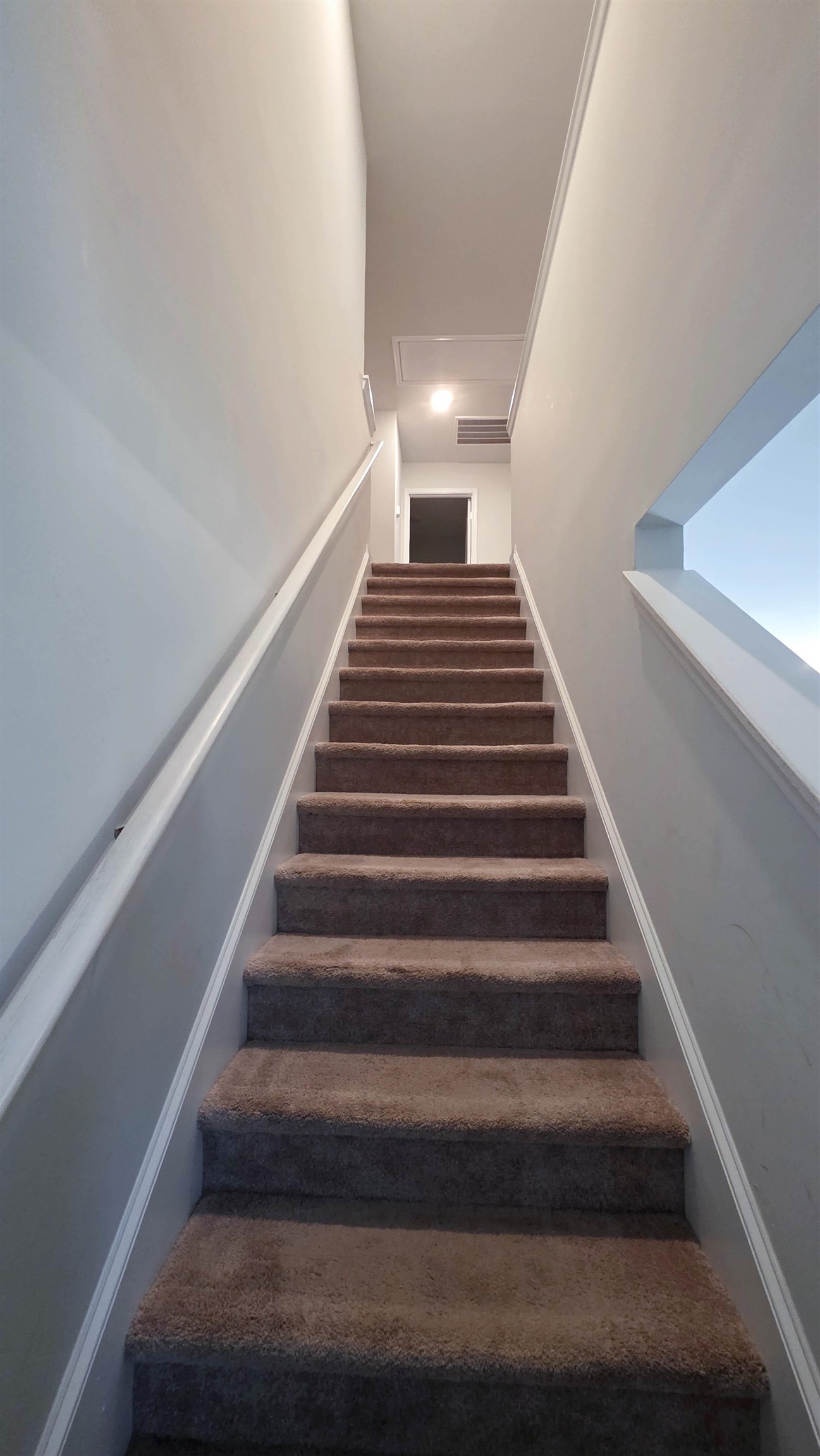 939 Snowberry Dr. Property Photo 12