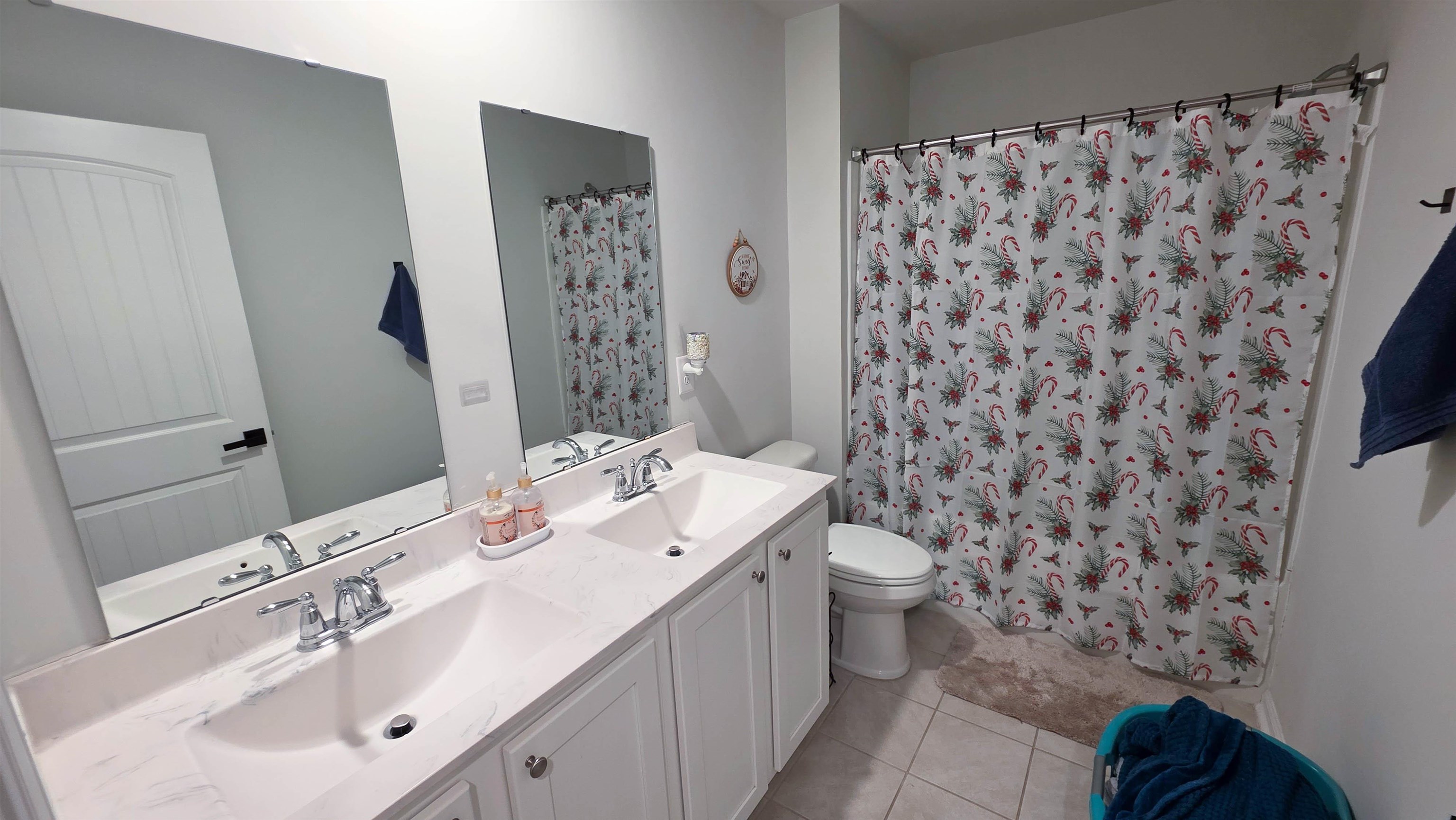 939 Snowberry Dr. Property Photo 19