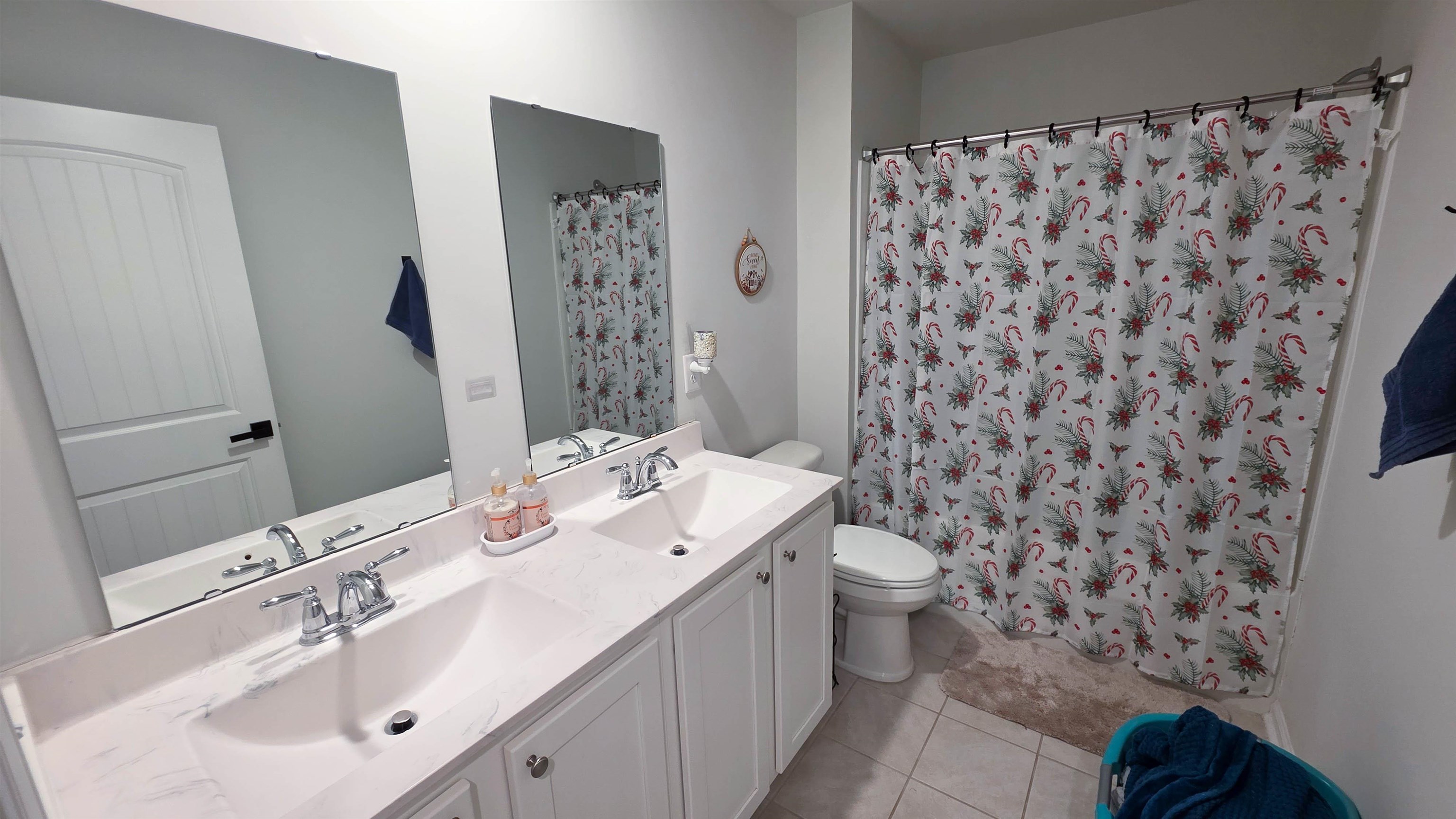 939 Snowberry Dr. Property Photo 20