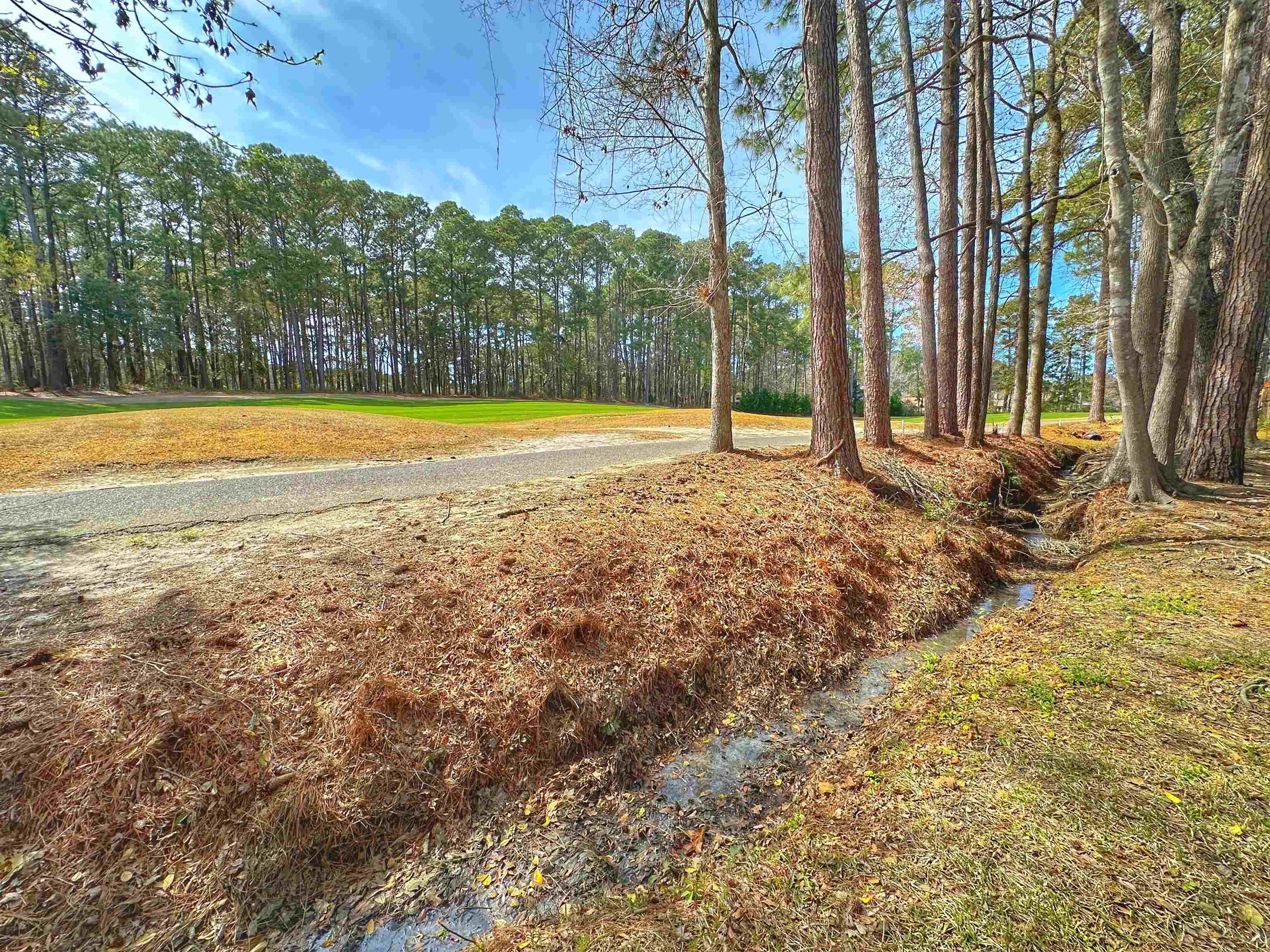 3174 River Bluff Ln. Property Photo 42